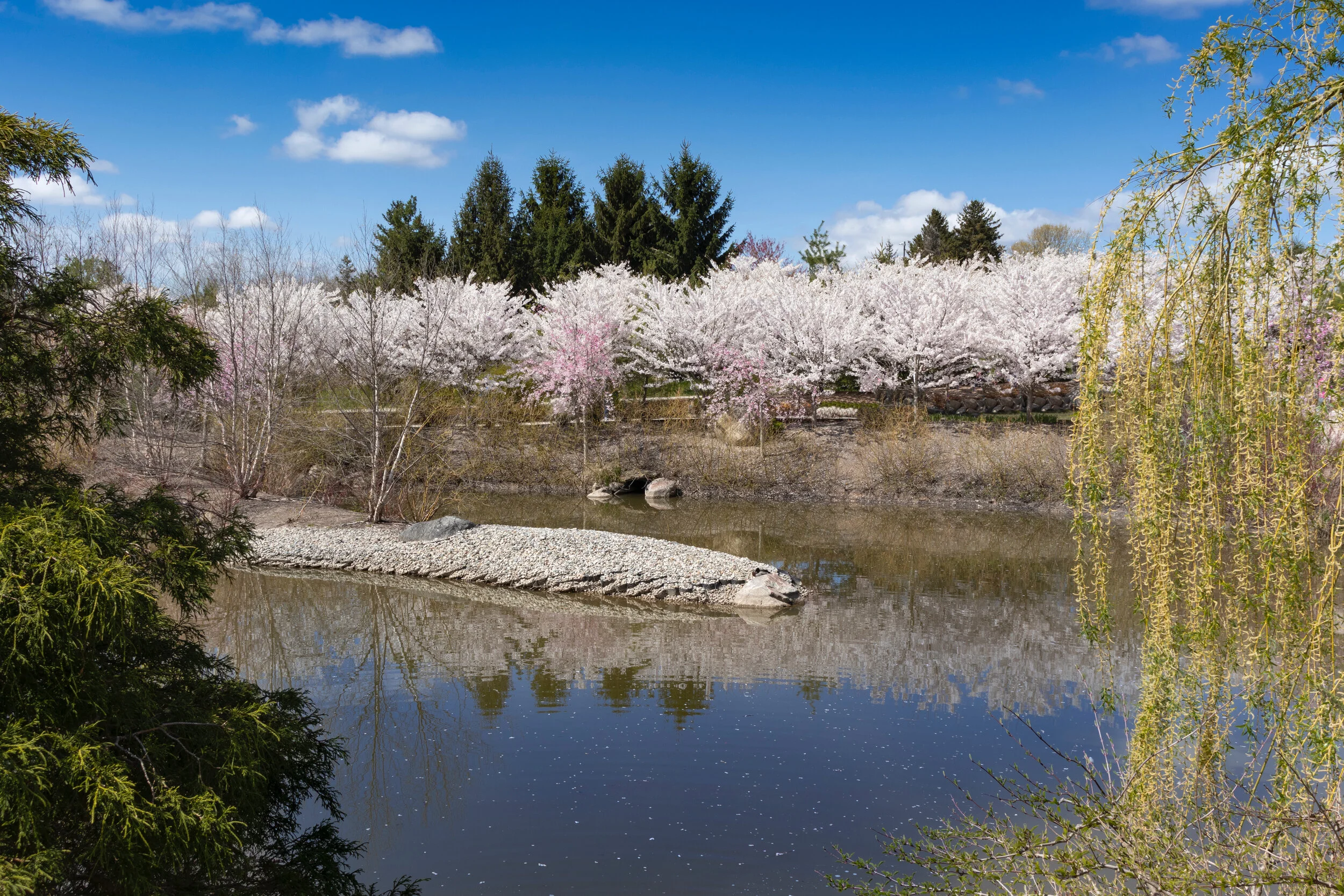 Garden Reflections