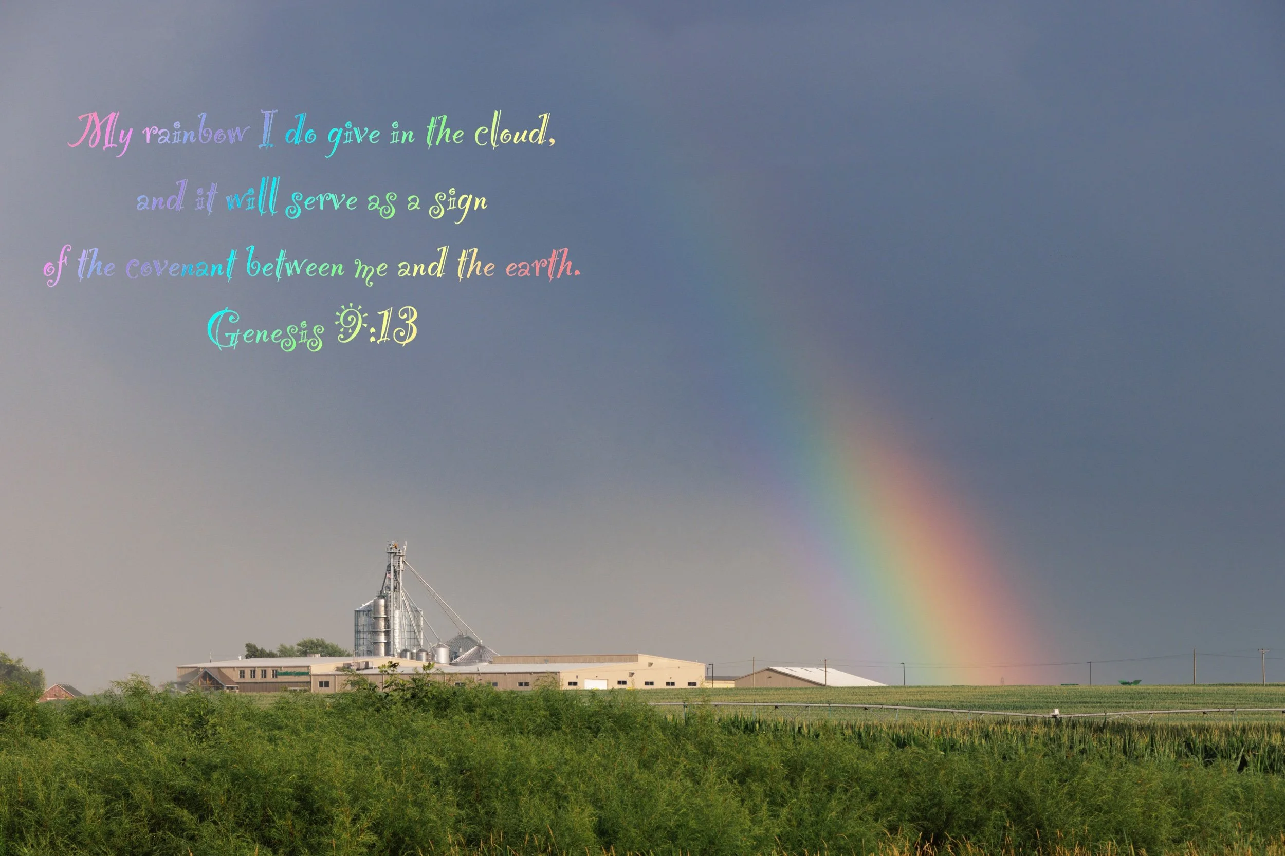 Genesis 9-13.jpeg
