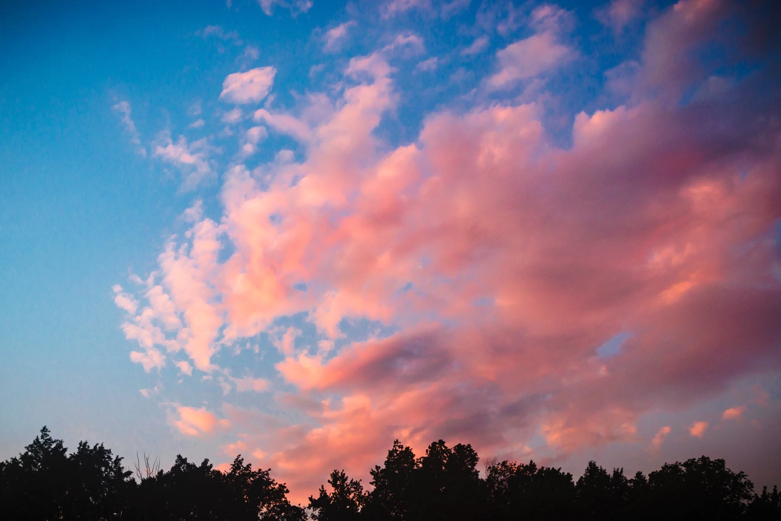 Rubies in the Sky.jpeg