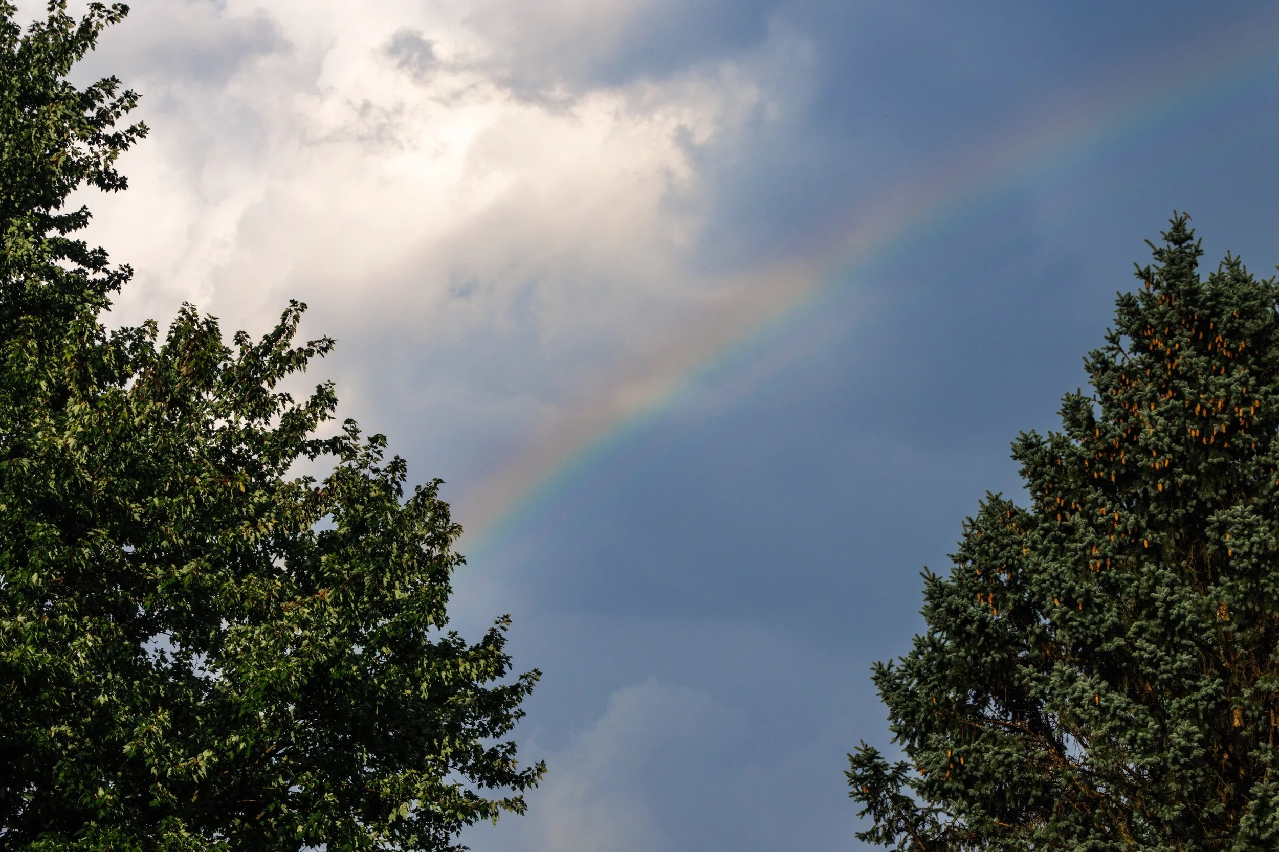 Streak in the Sky.jpeg