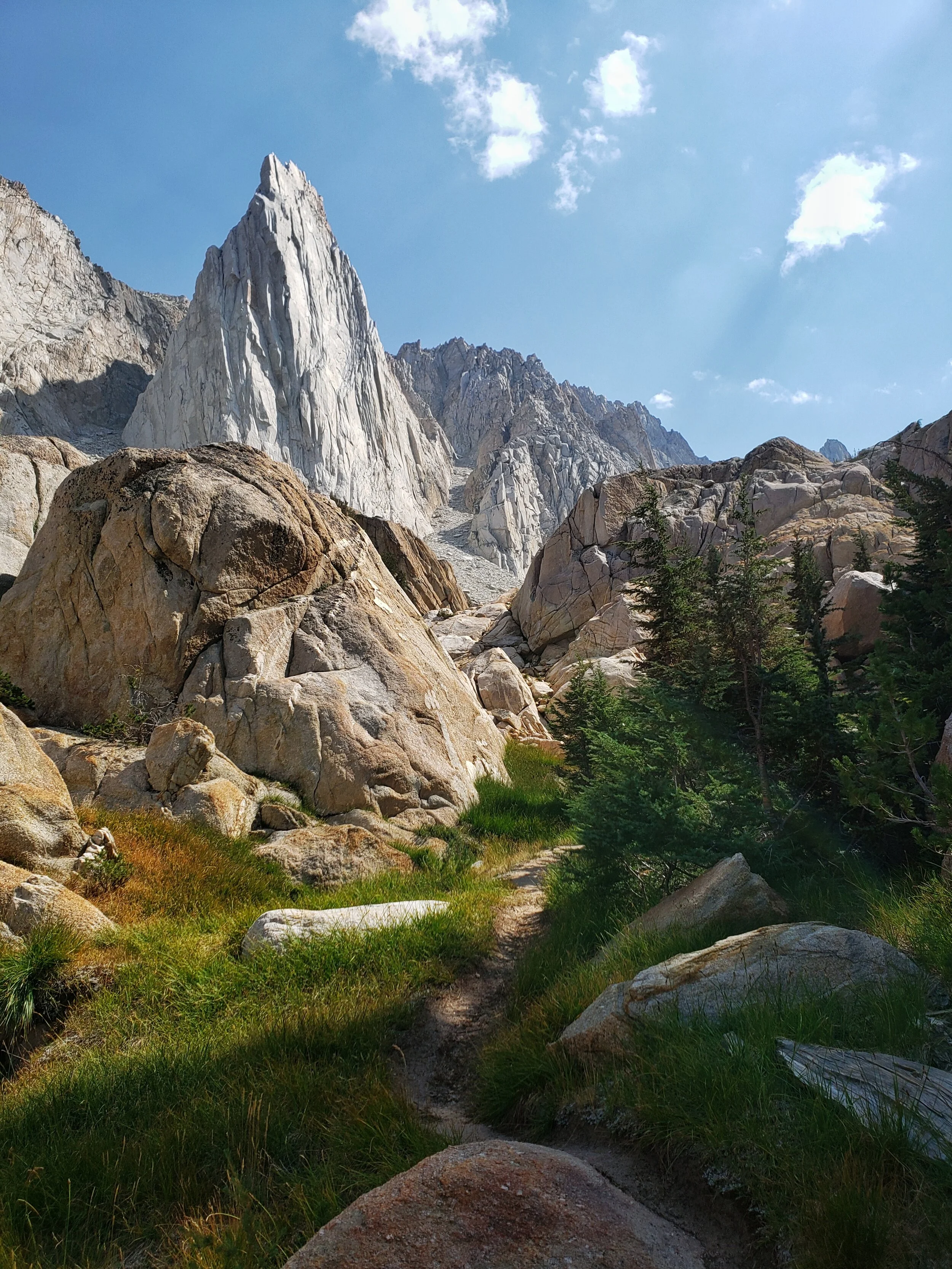 One last View of the glory