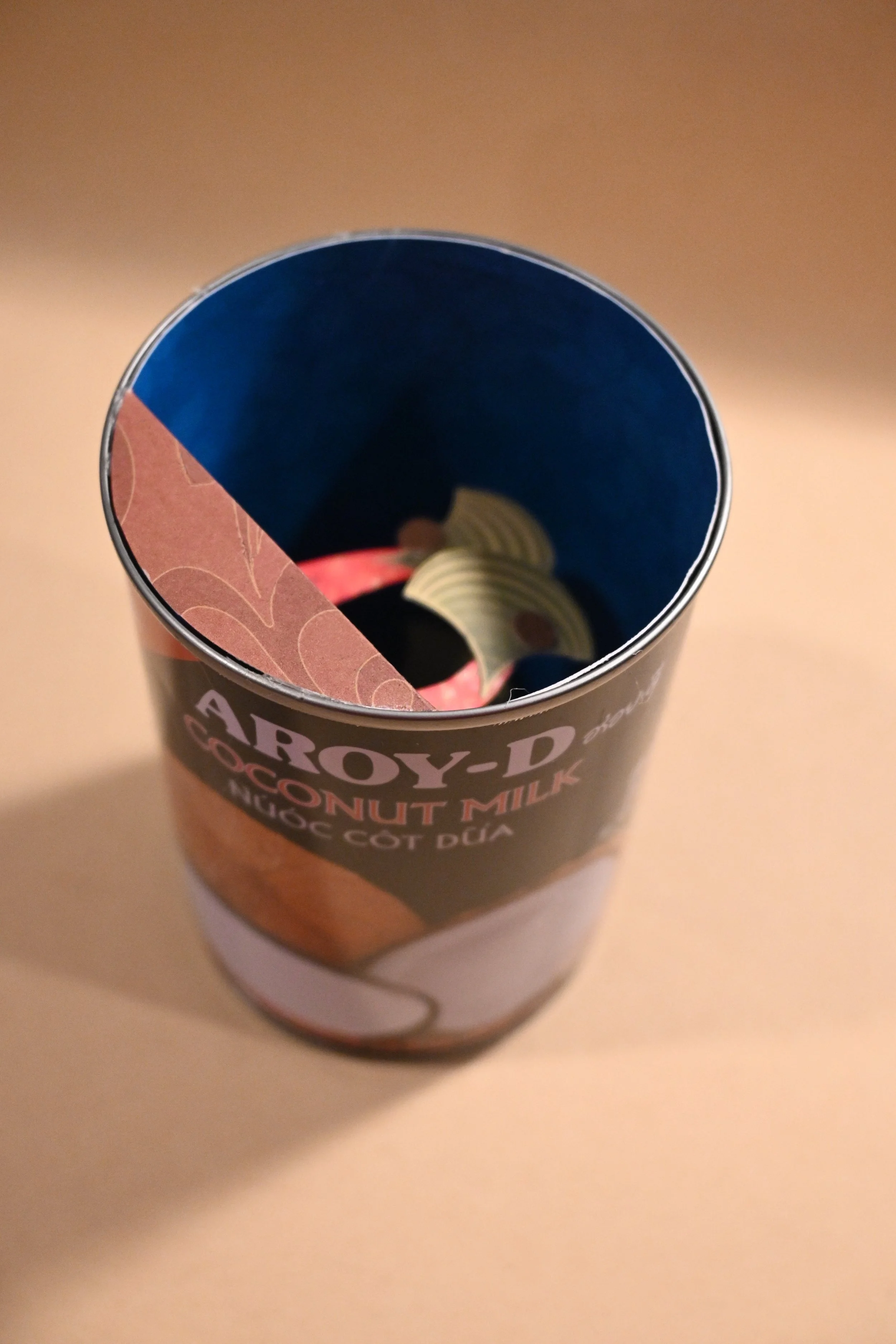 Canned Coconuts-angle.JPG