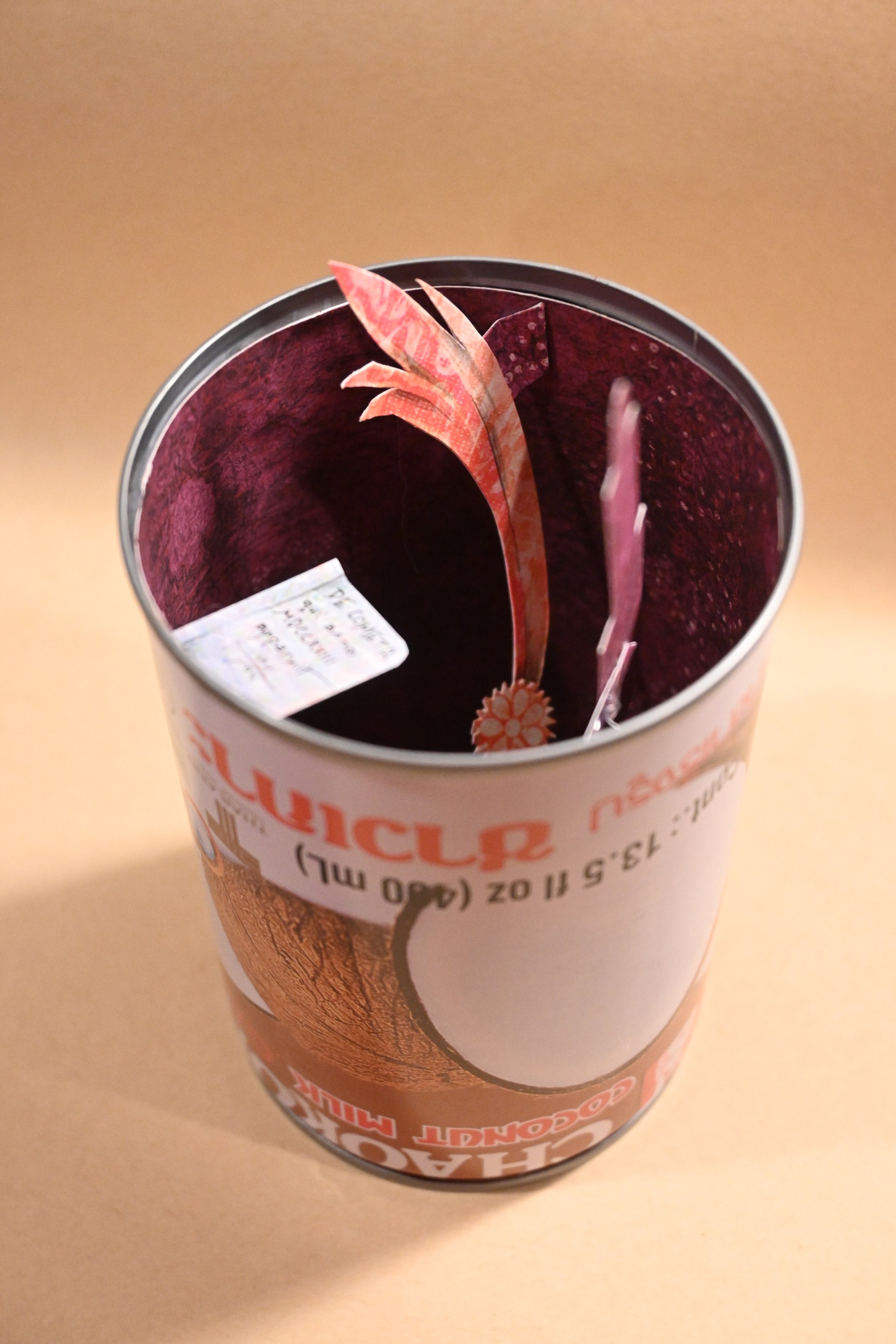 Canned Comet-angle.JPG