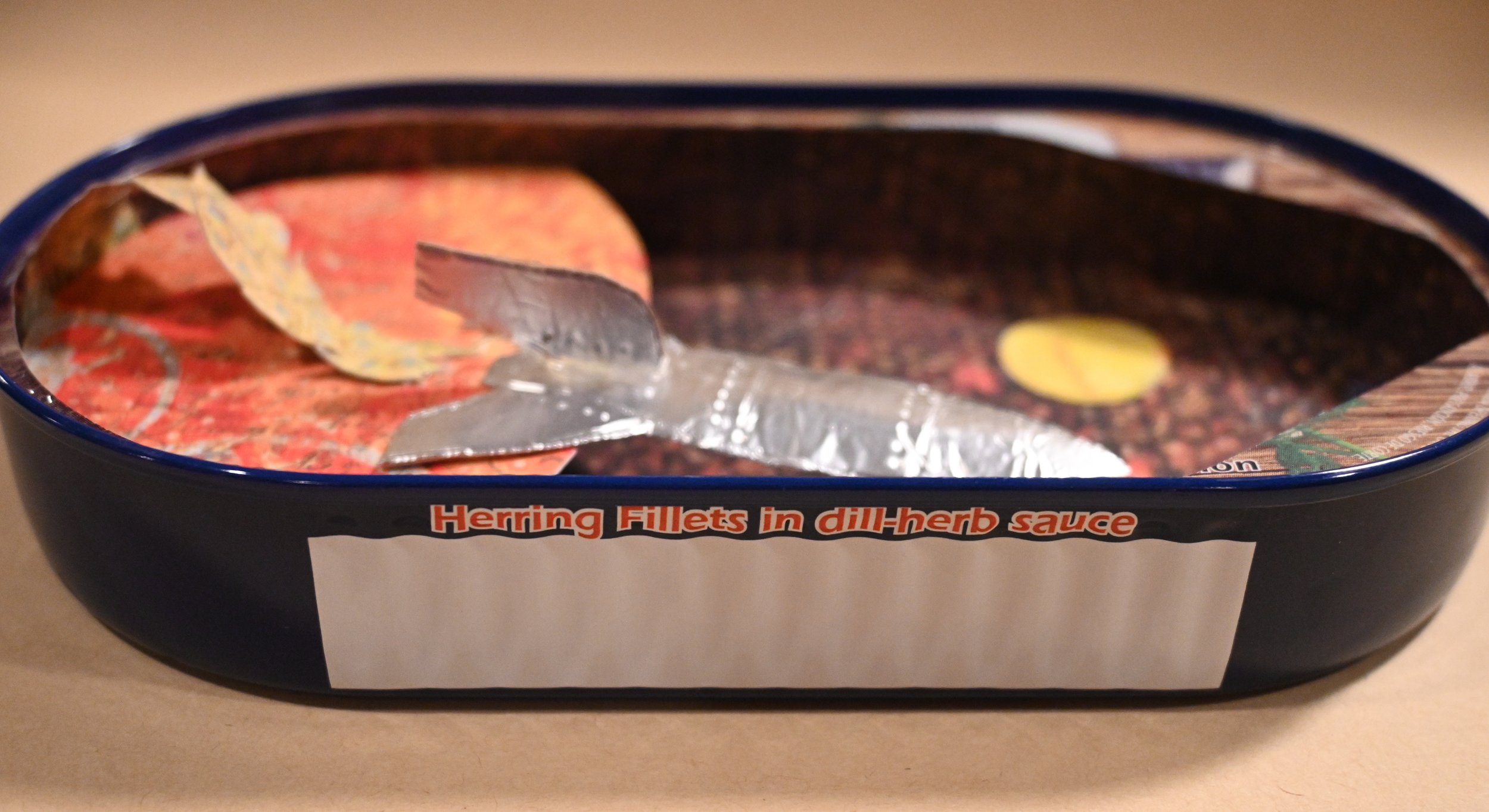 Canned Rocketship-angle.JPG