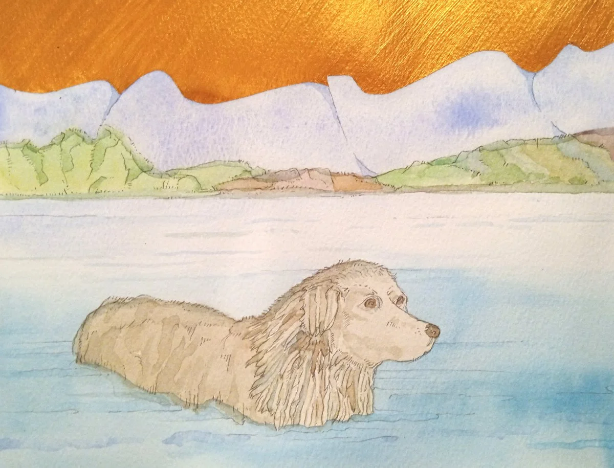 A Dog Bathes In Loch Lomond, Contented, September 2025.jpg