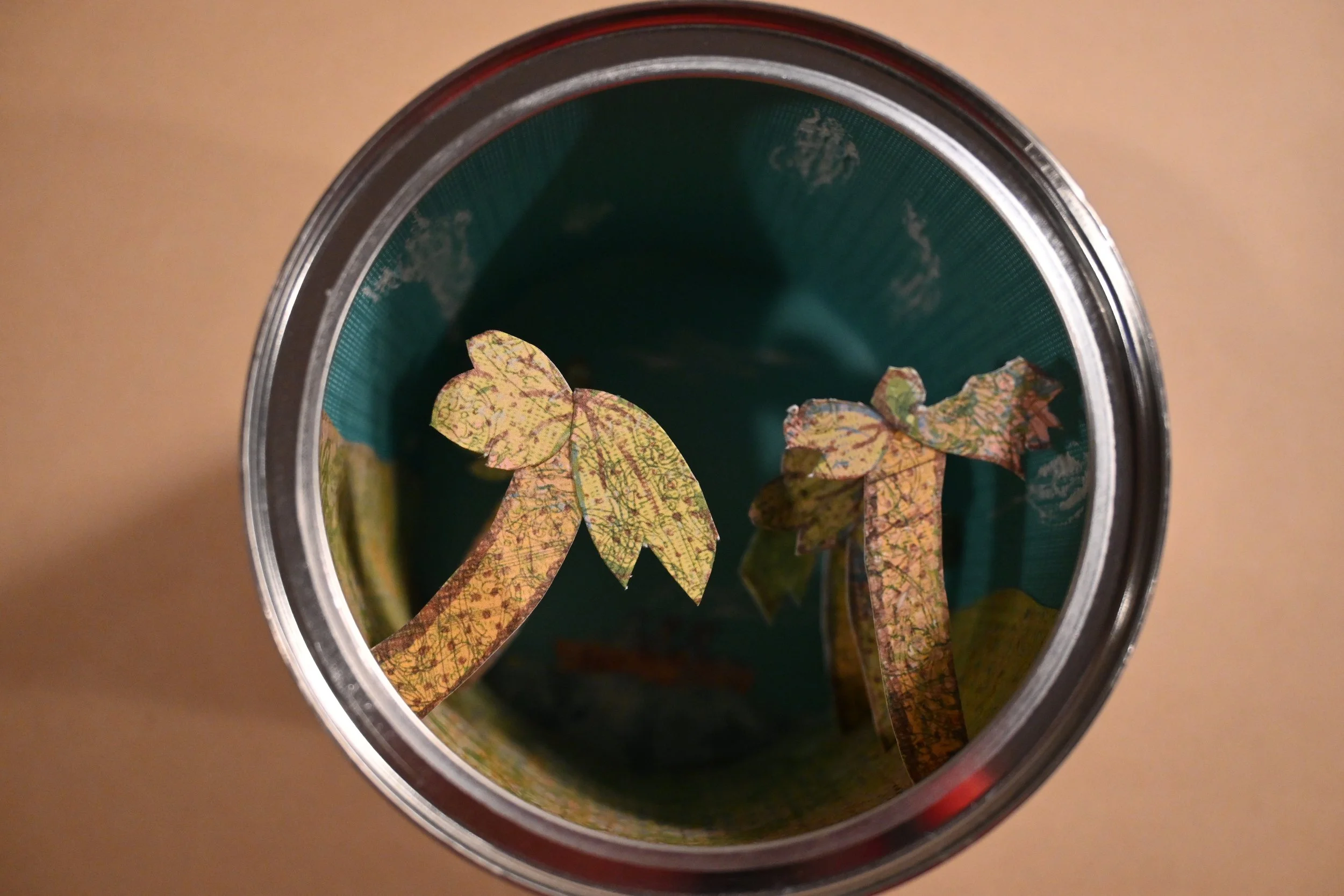 Canned Desert Island-flat-foreground.JPG