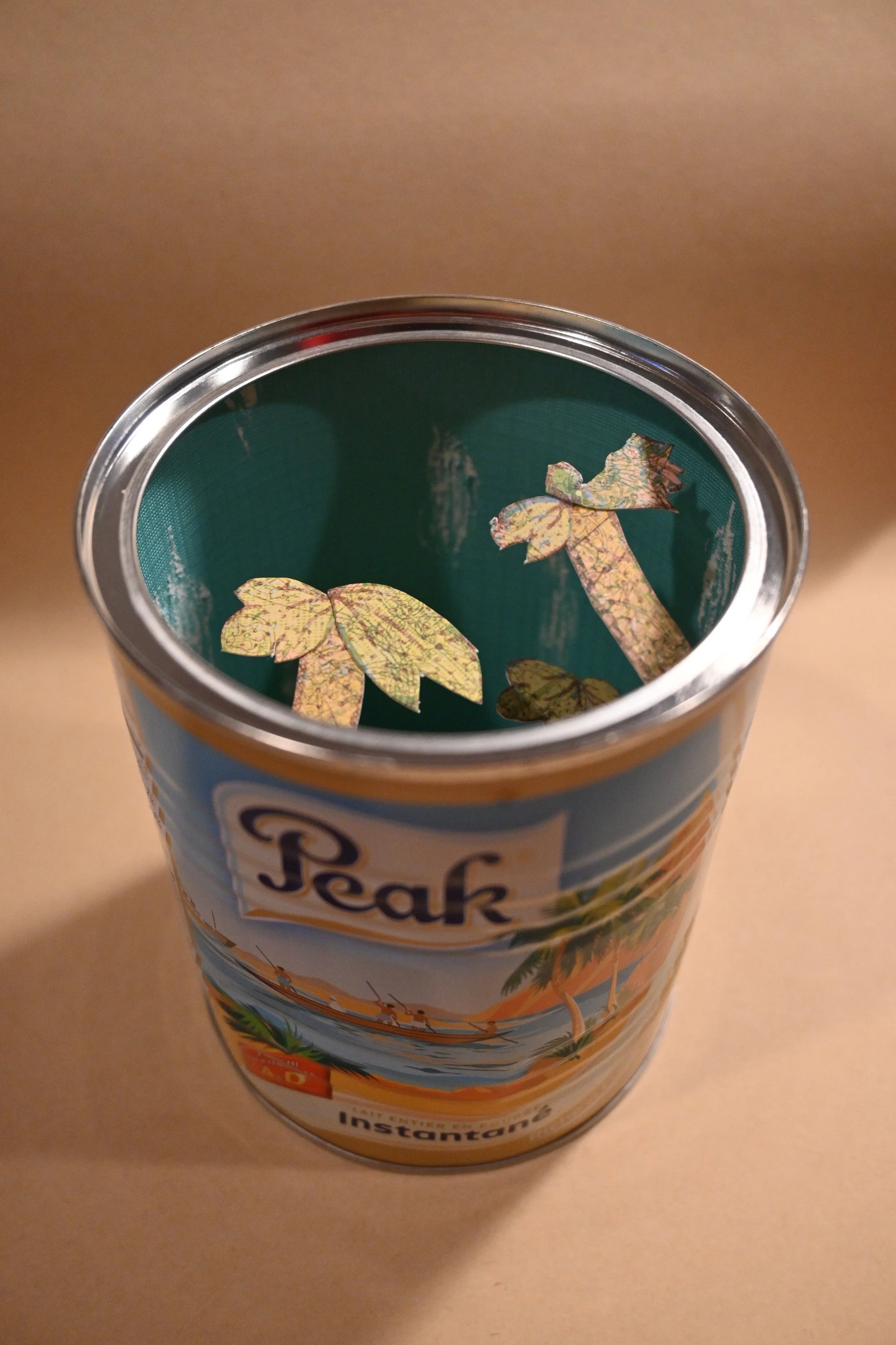 Canned Desert Island-angle.JPG