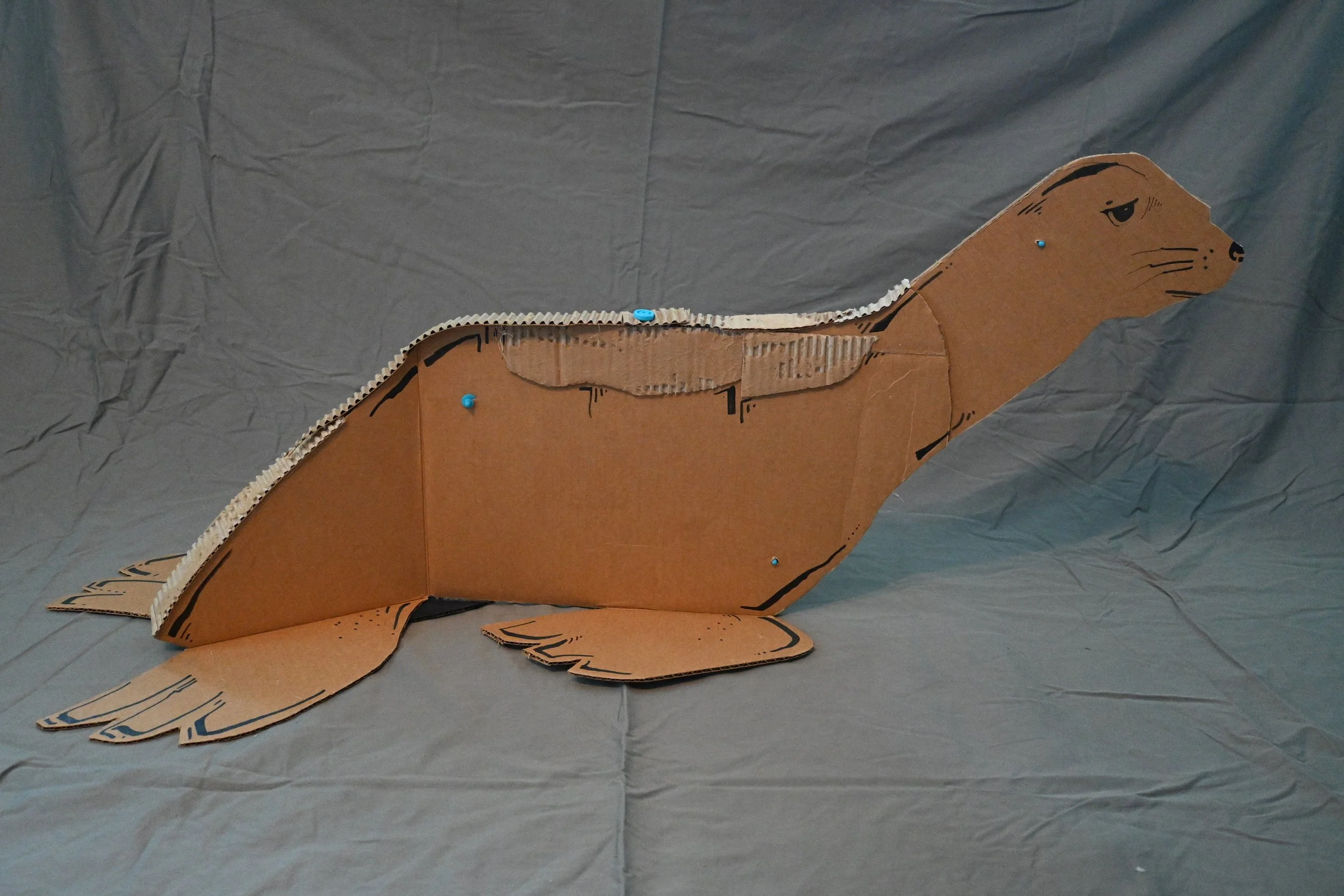 Animal Series Project: Seal (cardboard, "Makedo" fasteners, ink)