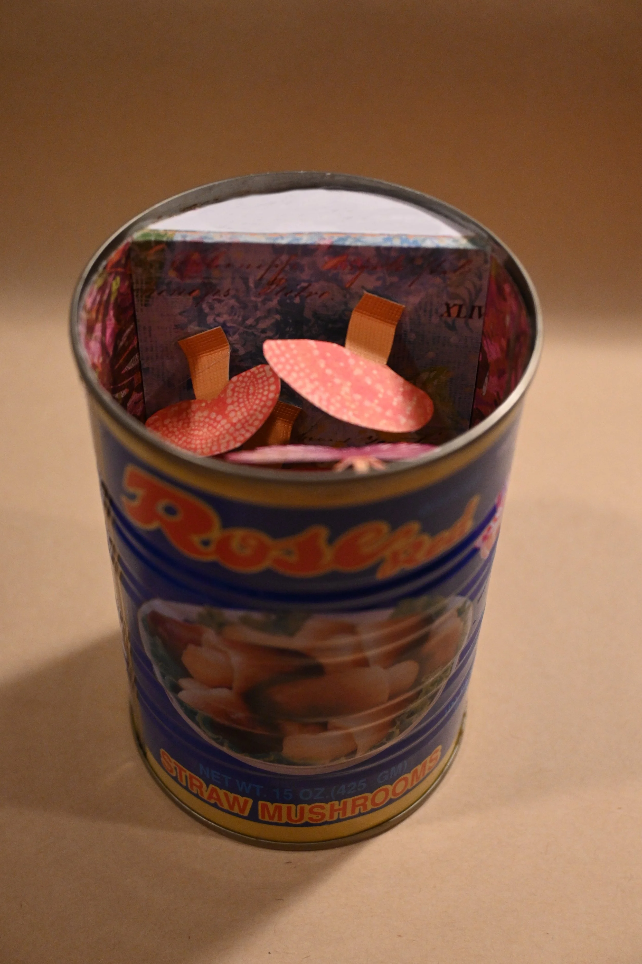 Canned Mushrooms No.1-angle.JPG