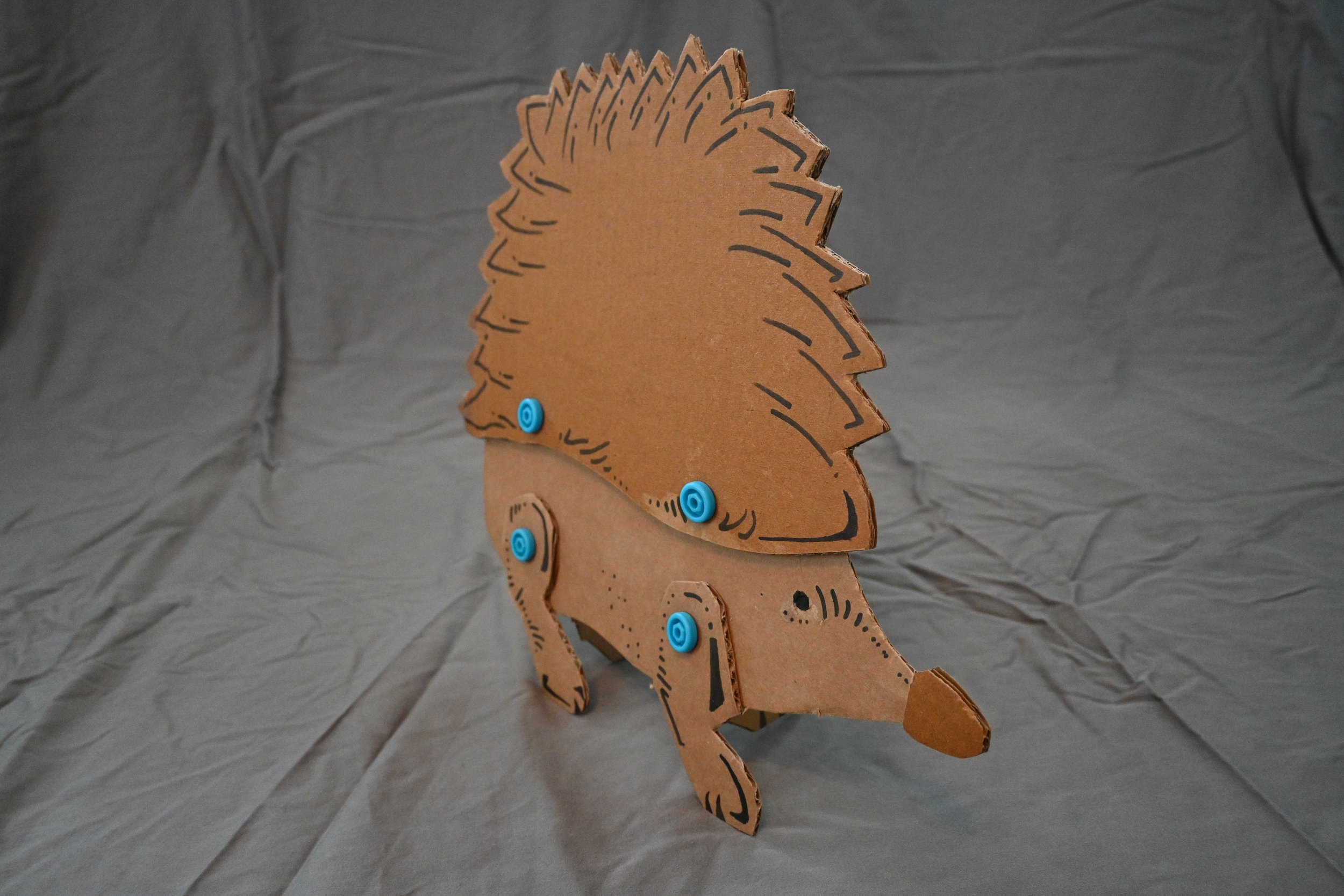 hedgehog-2.JPG