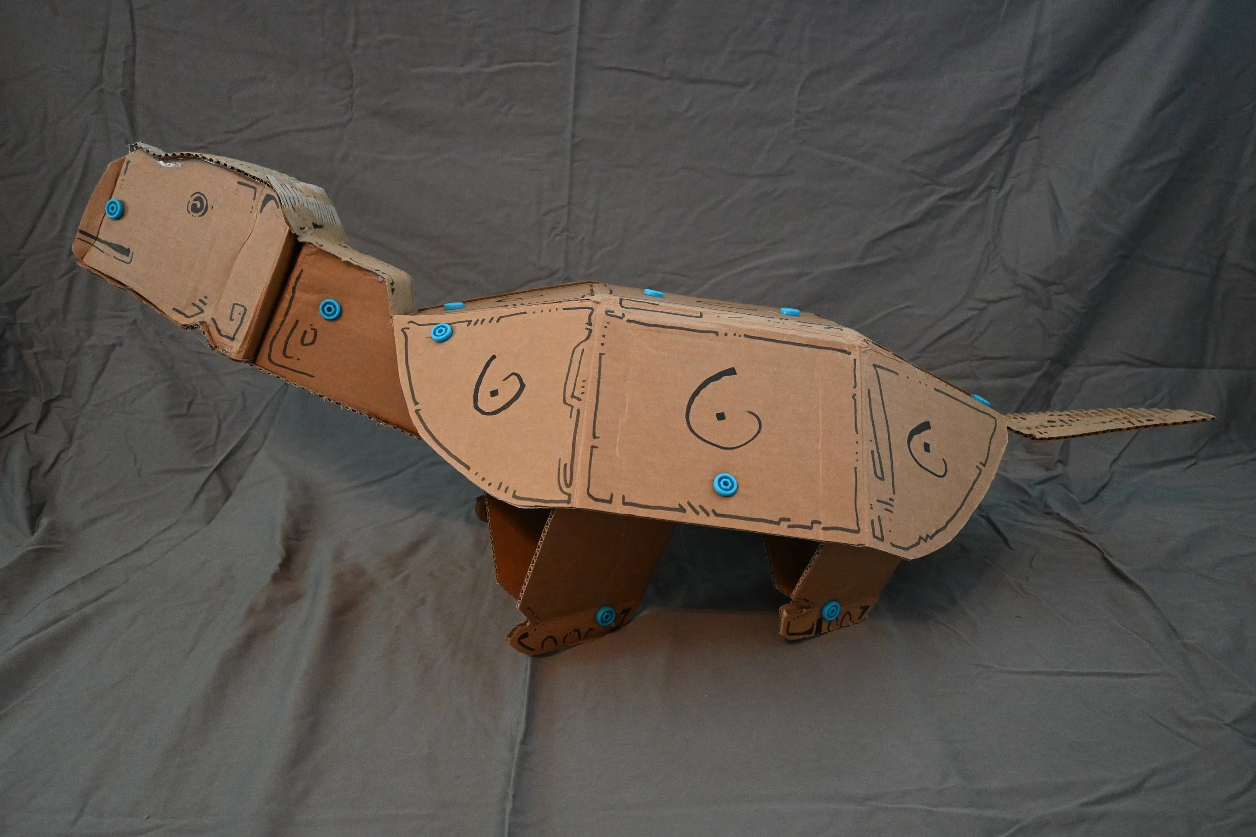 Animal Series Project: Tortoise (cardboard, "Makedo" fasteners, ink)