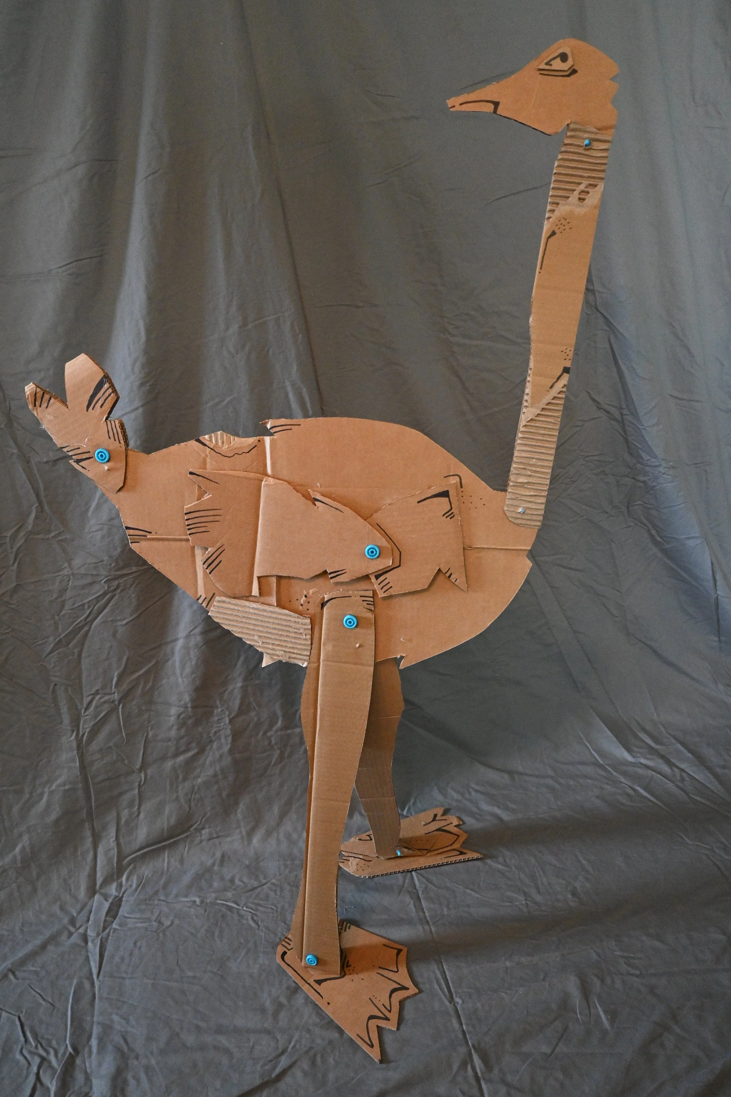 Animal Series Project: Ostrich (cardboard, "Makedo" fasteners, ink)