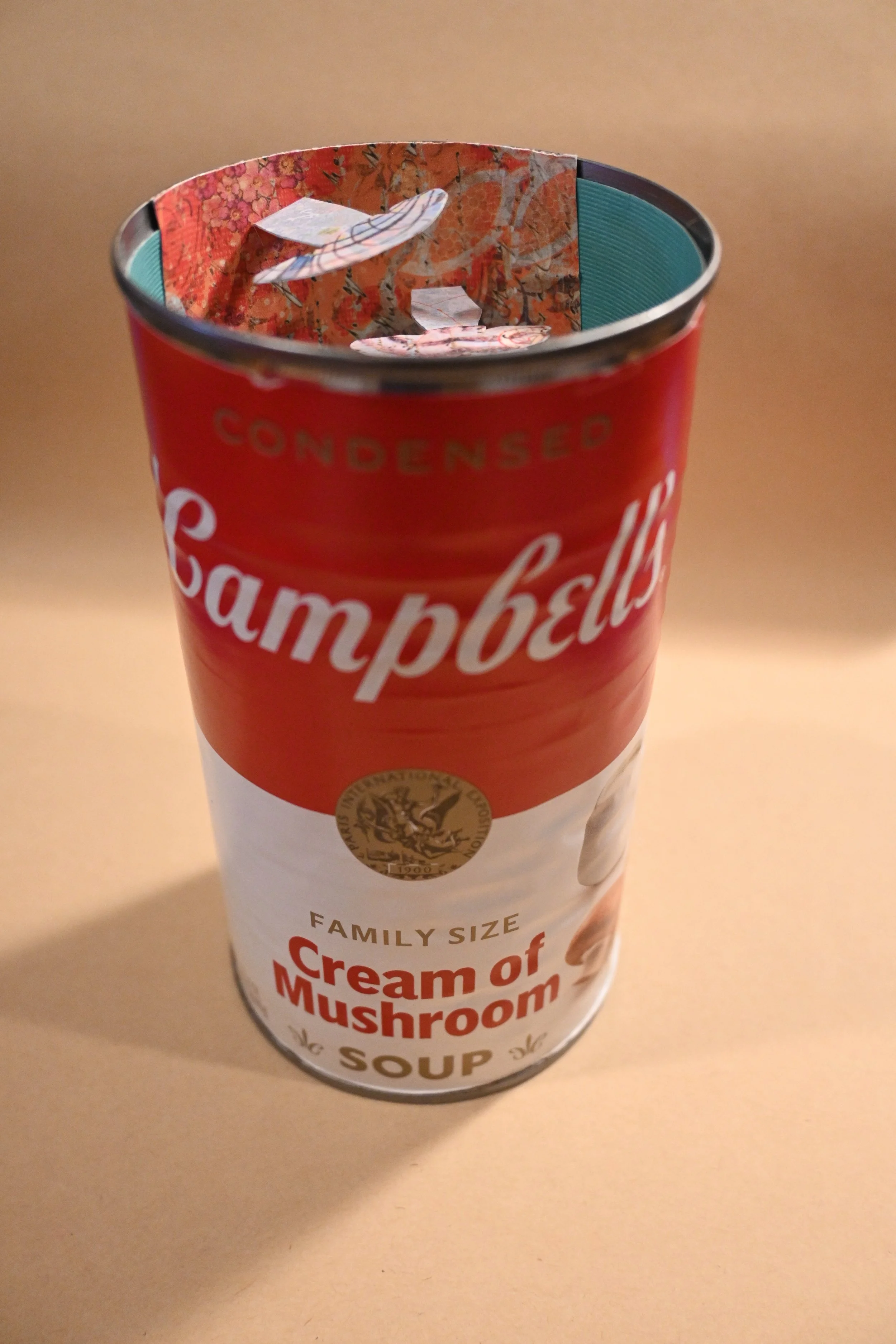 Canned Campbell's Mushroom Soup-angle.JPG