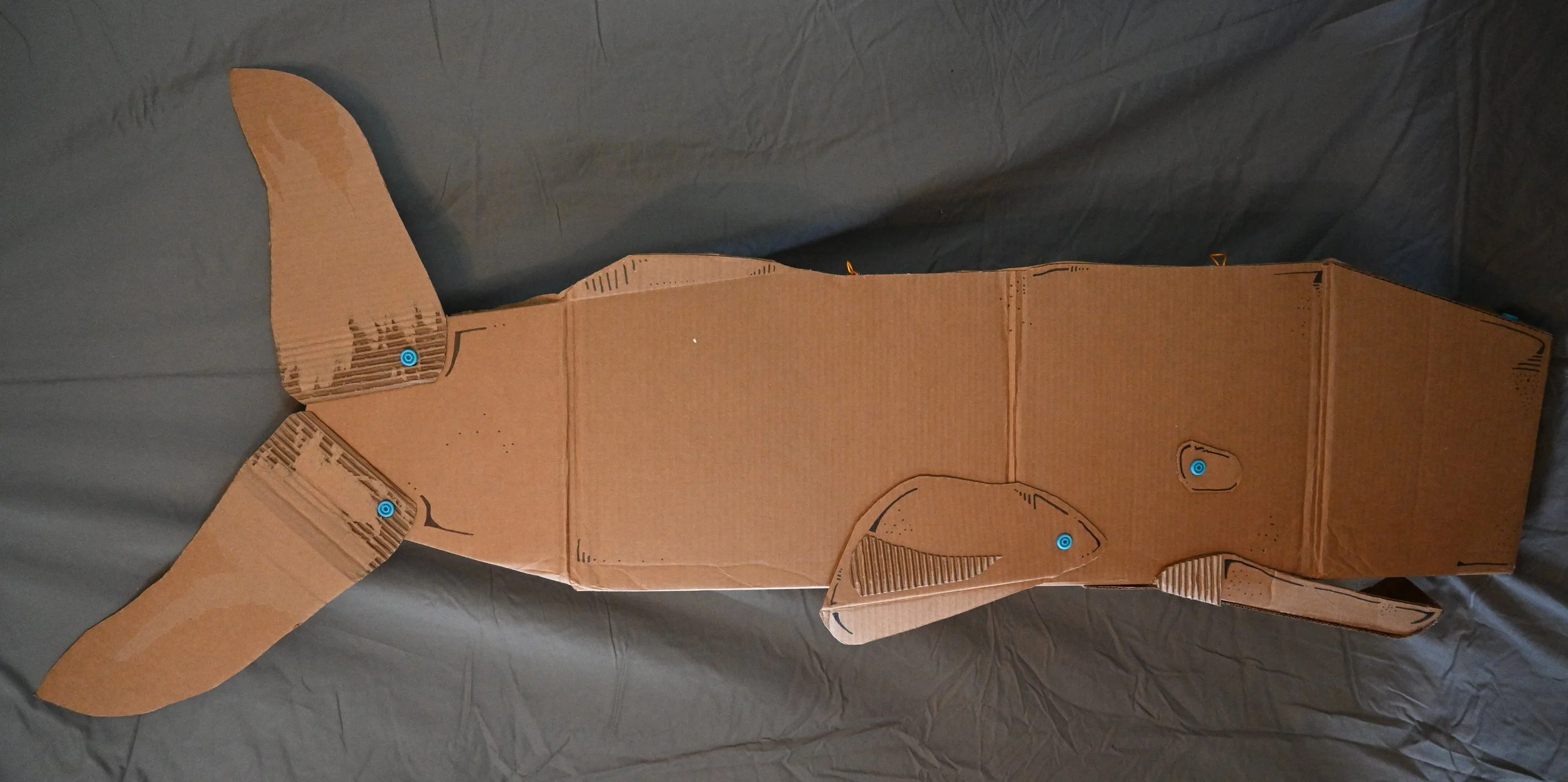 Animal Series Project: Whale (cardboard, "Makedo" fasteners, ink)