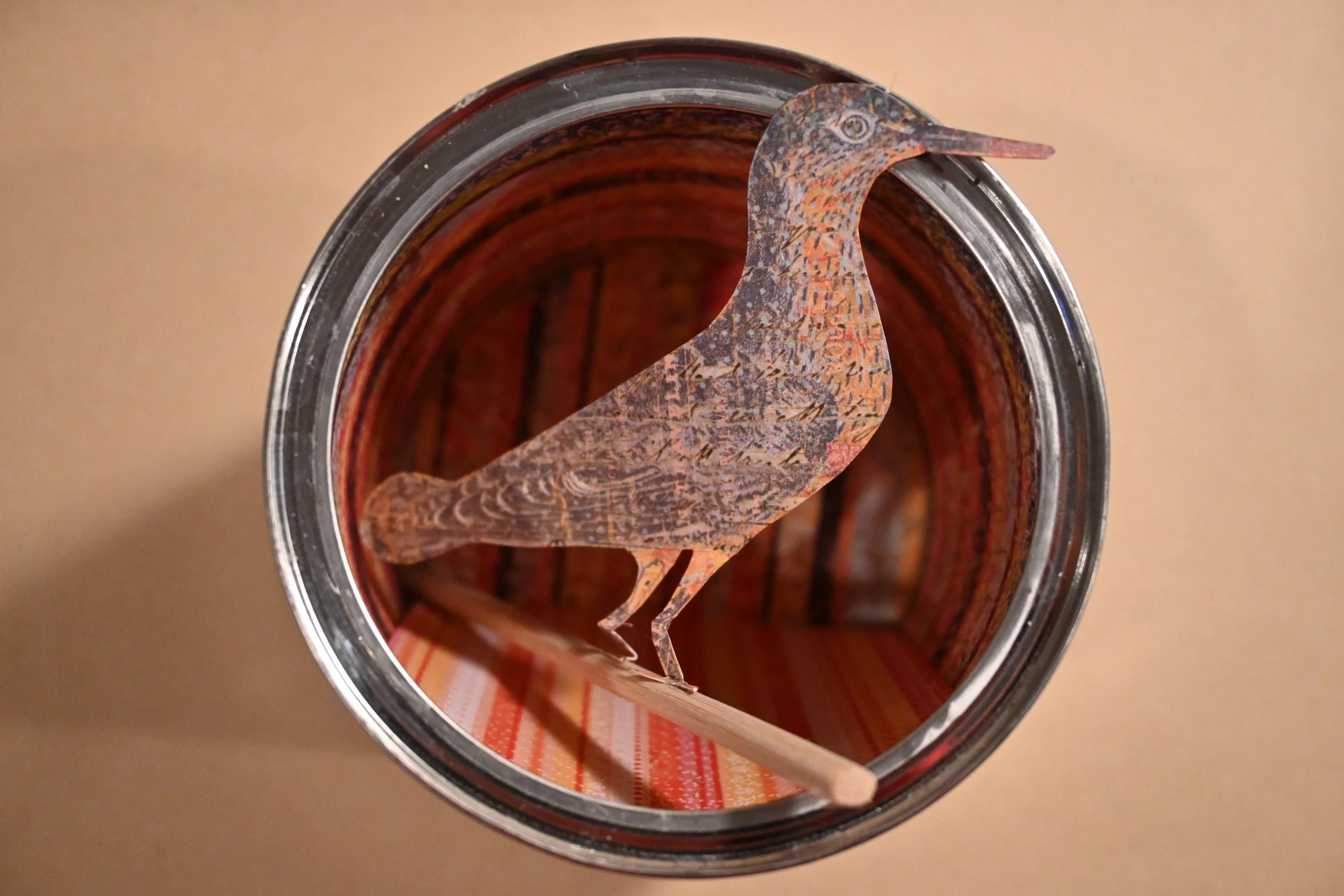 Bird in a Can-flat.JPG