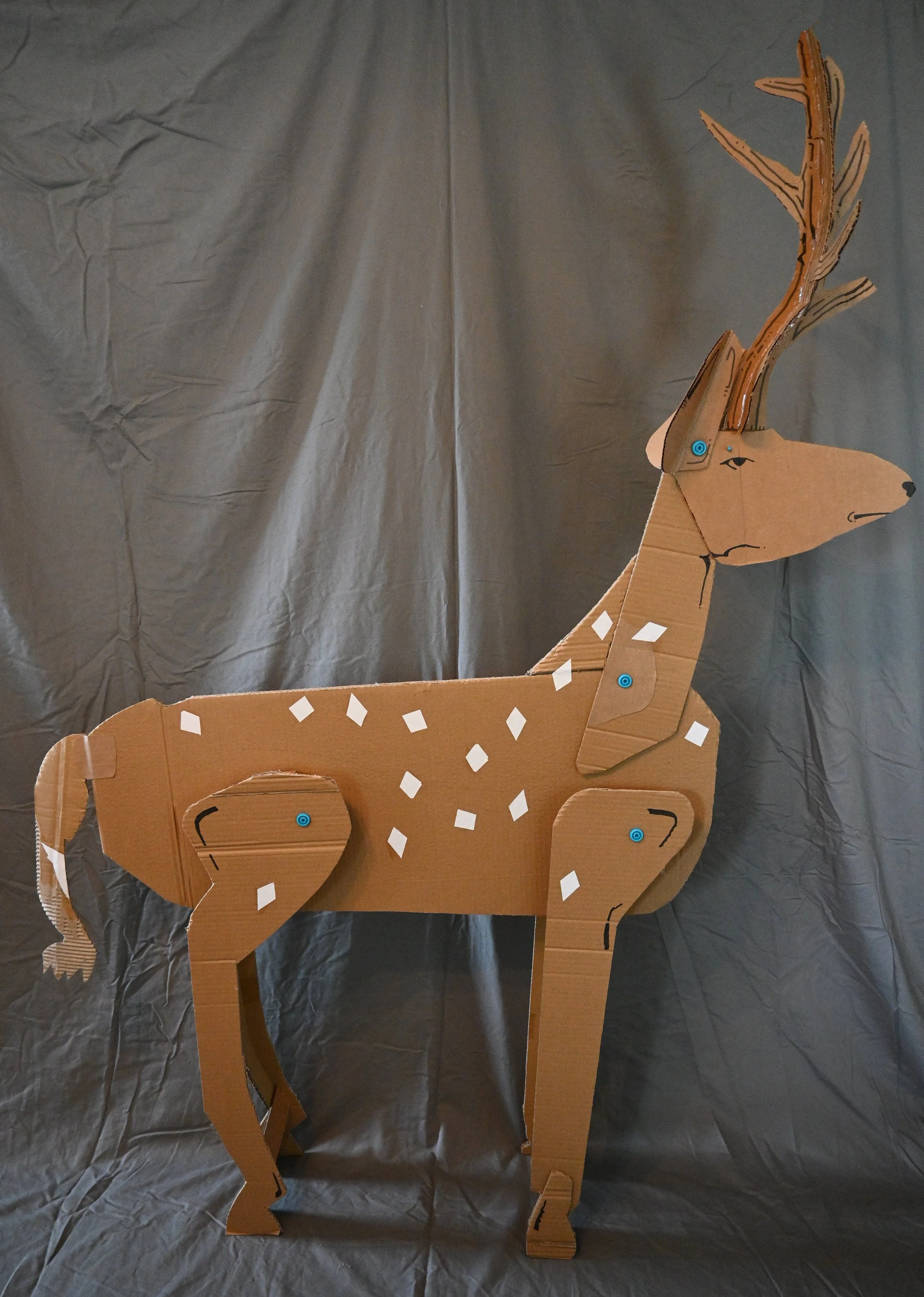 Animal Series Project: Deer (cardboard, "Makedo" fasteners, ink)