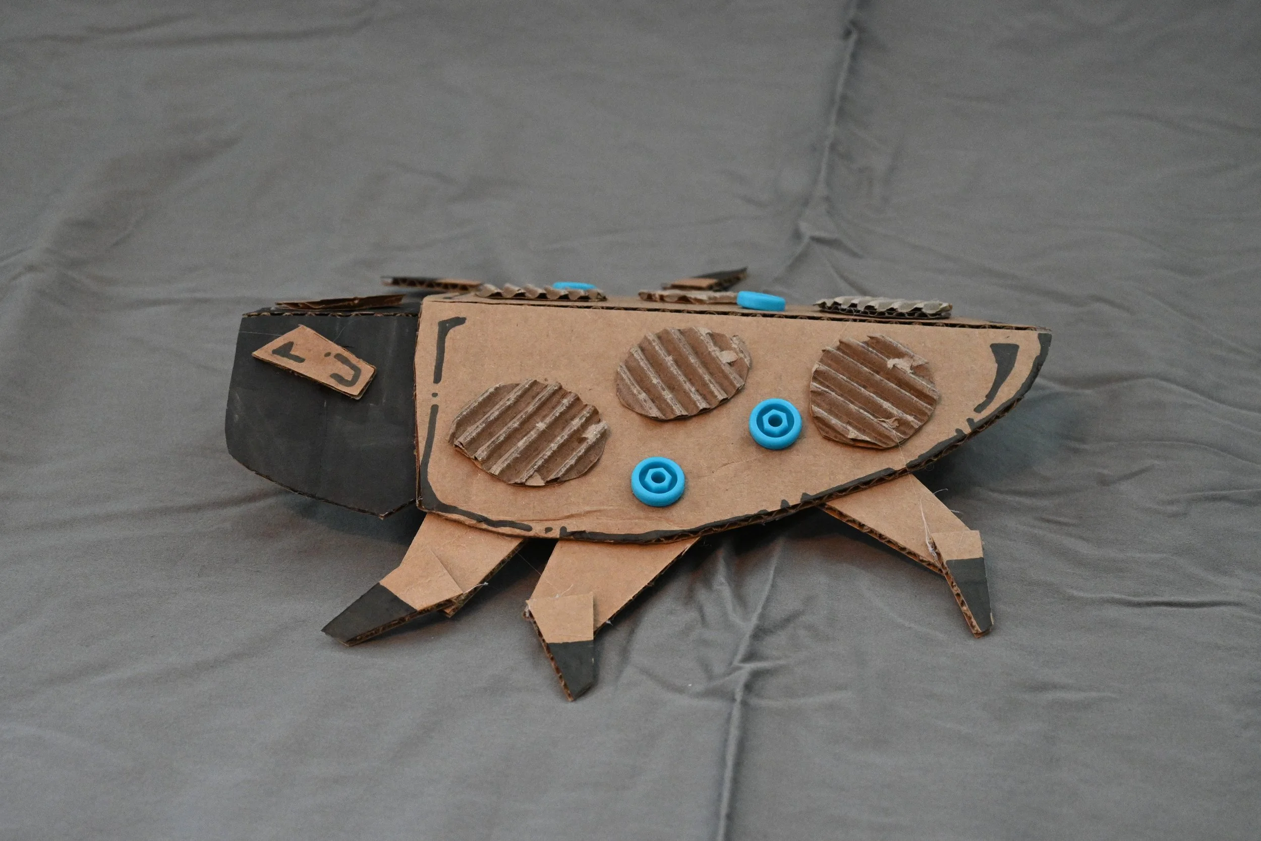 Animal Series Project: Ladybug (cardboard, "Makedo" fasteners, ink)