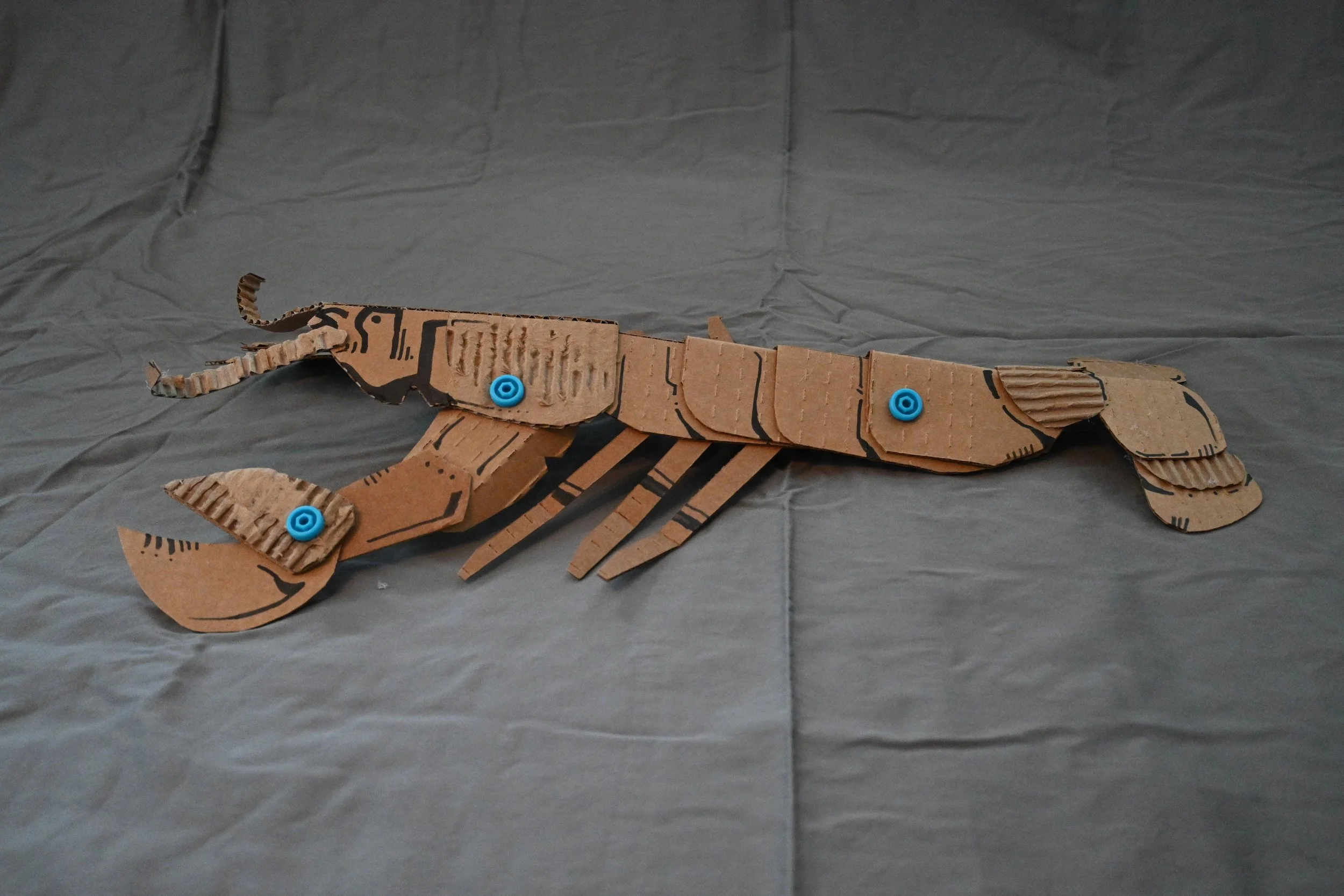 Animal Series Project: Lobster (cardboard, "Makedo" fasteners, ink)