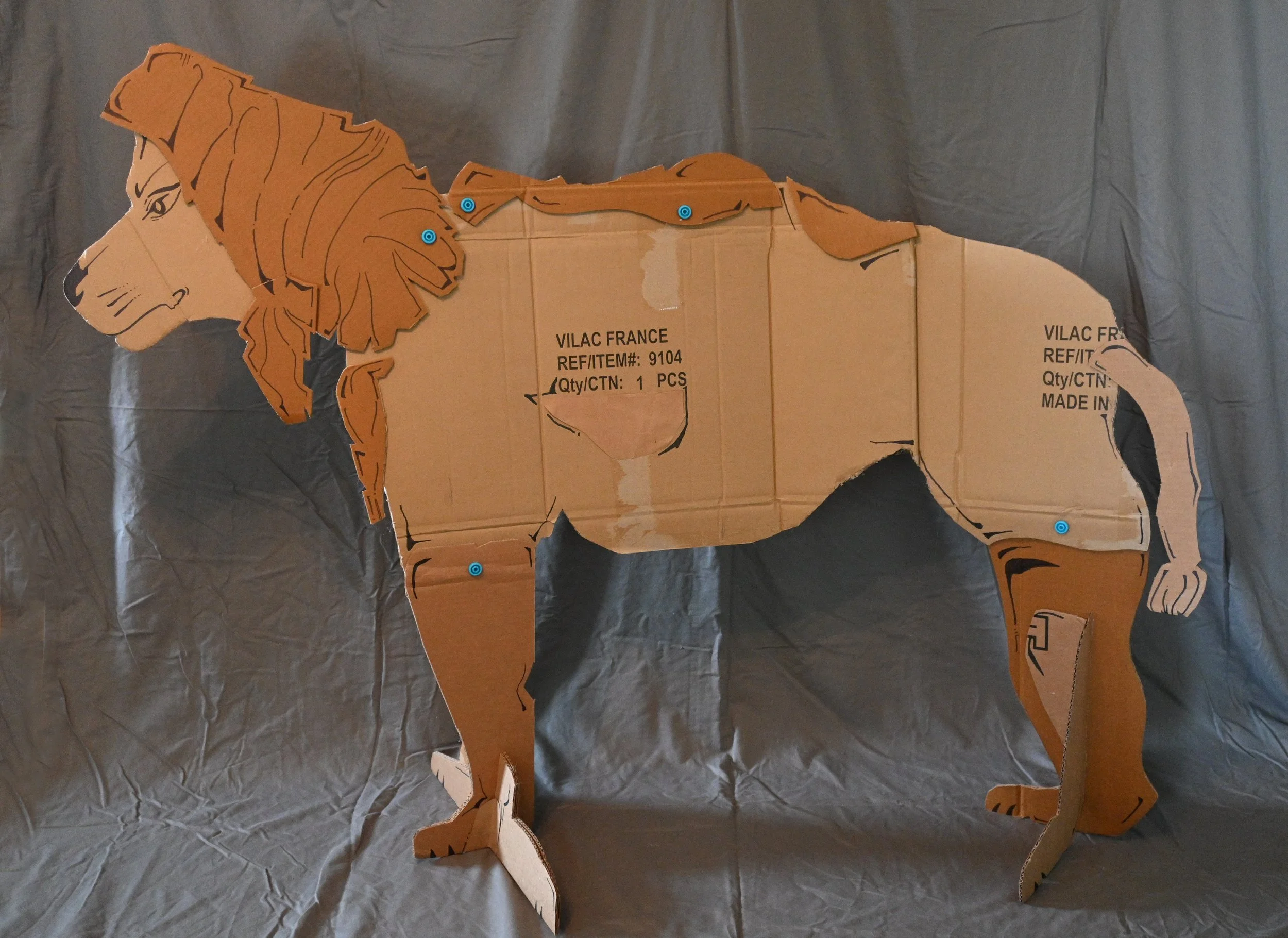 Animal Series Project: Lion (cardboard, "Makedo" fasteners, ink)