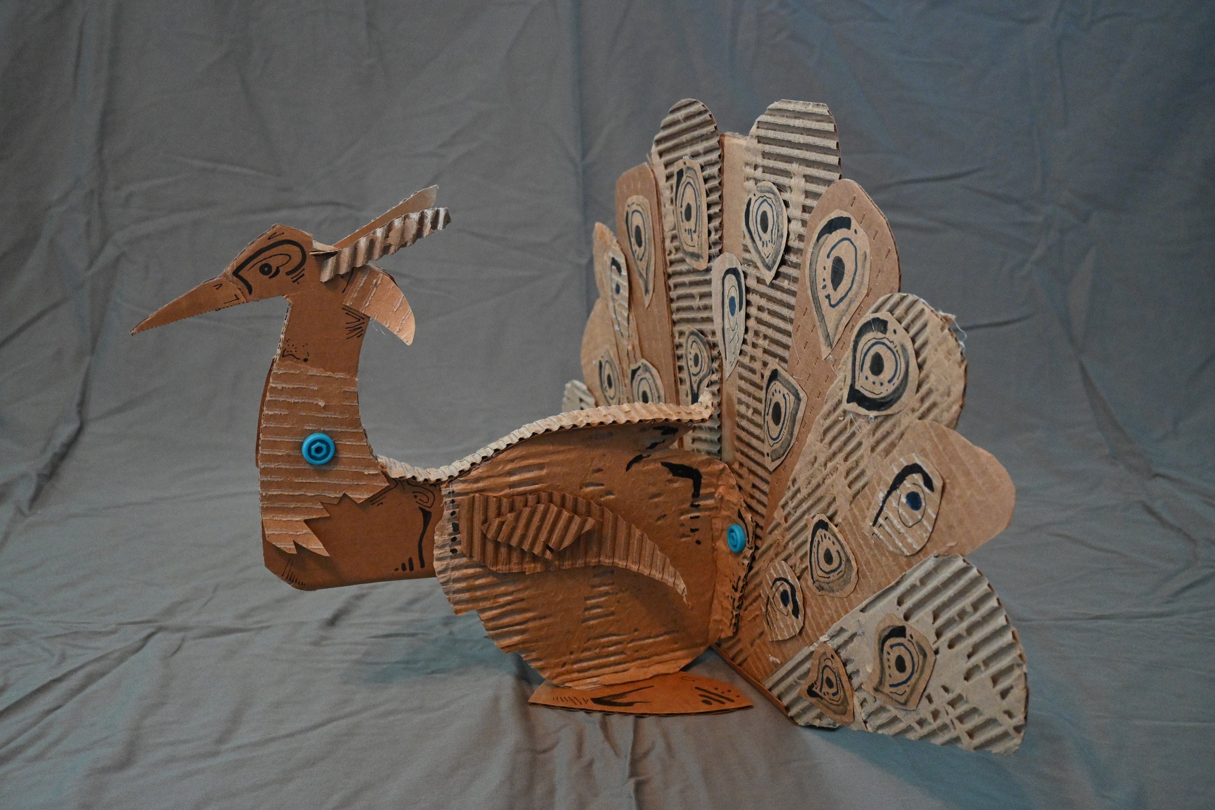 Animal Series Project: Peacock (cardboard, "Makedo" fasteners, ink)