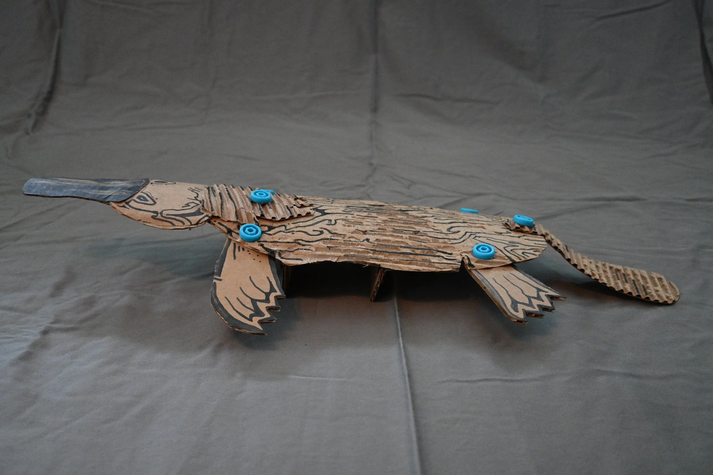 Animal Series Project: Playpus (cardboard, "Makedo" fasteners, ink)