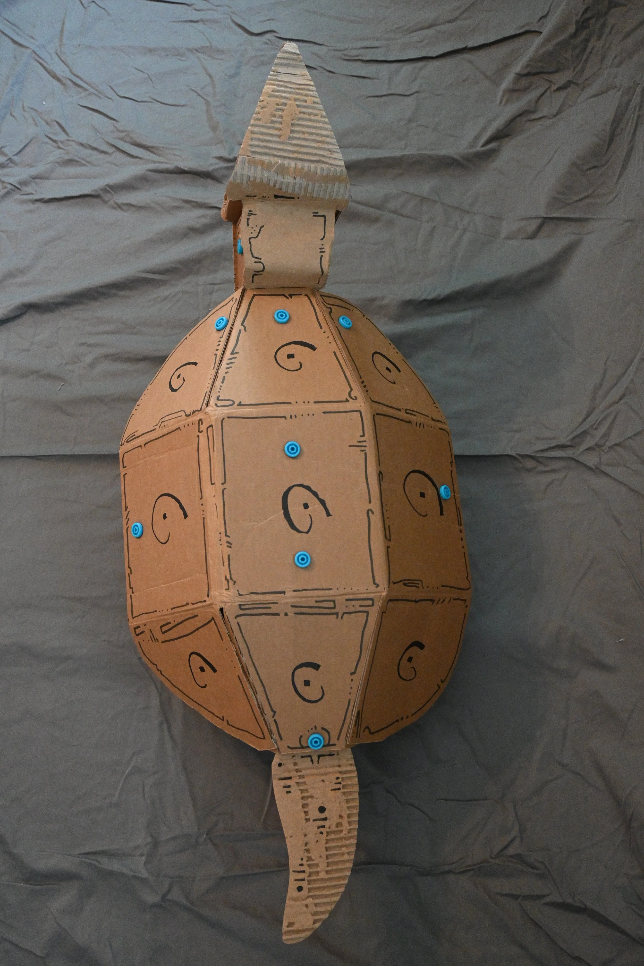 Animal Series Project: Tortoise (cardboard, "Makedo" fasteners, ink)