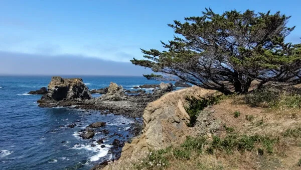 The Sadness of Goodbye(s)