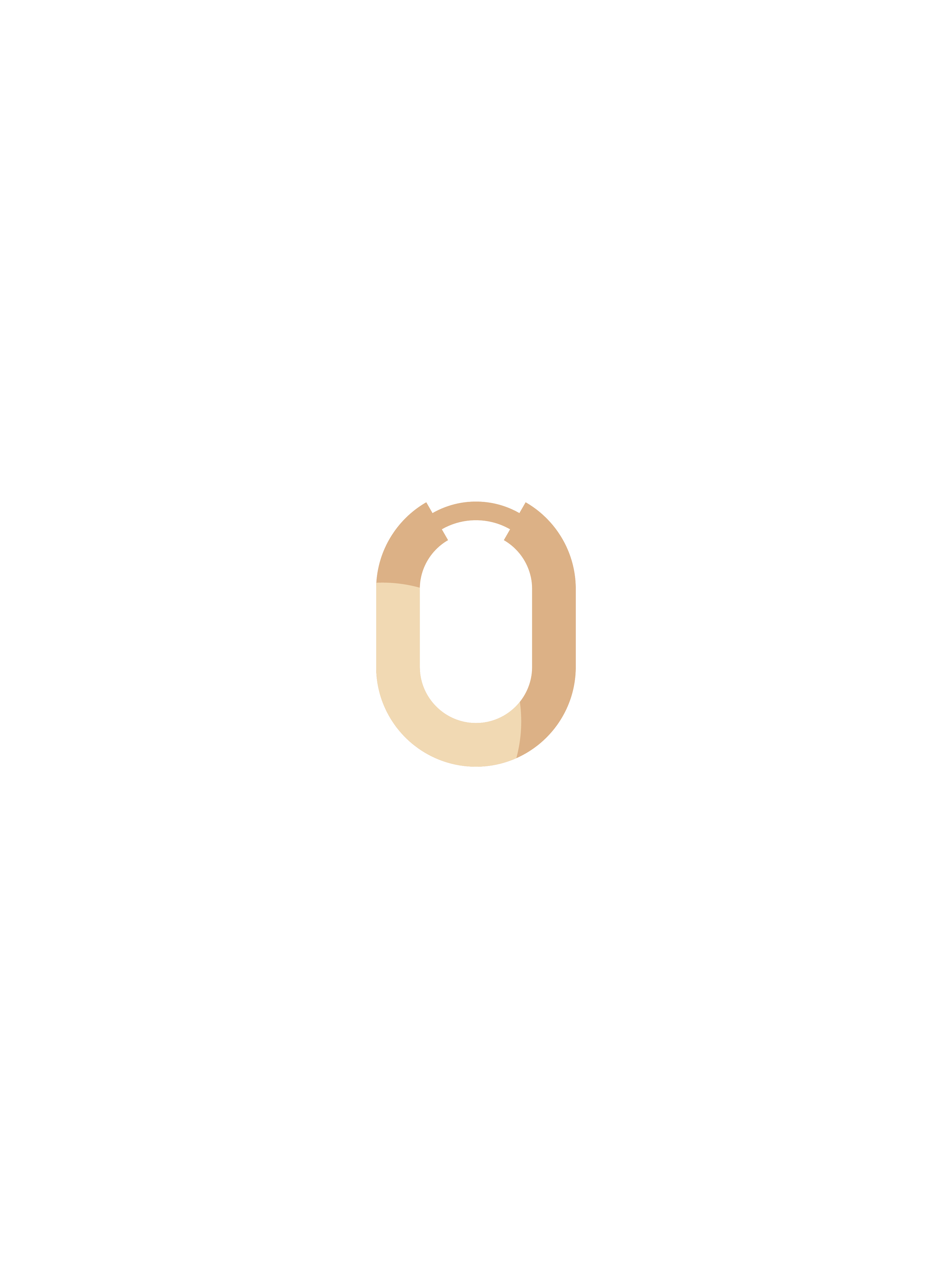 Enchanted Hoops