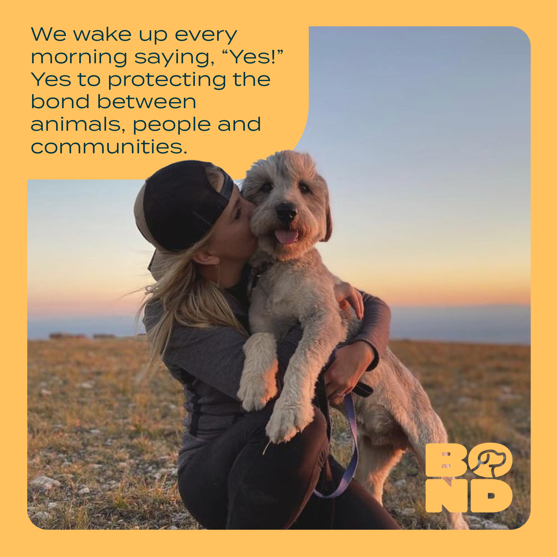 TBB_Social Examples.png