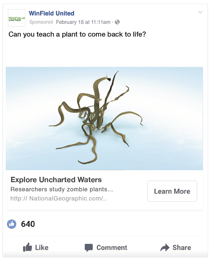 Facebook_Zombie_Plant.png