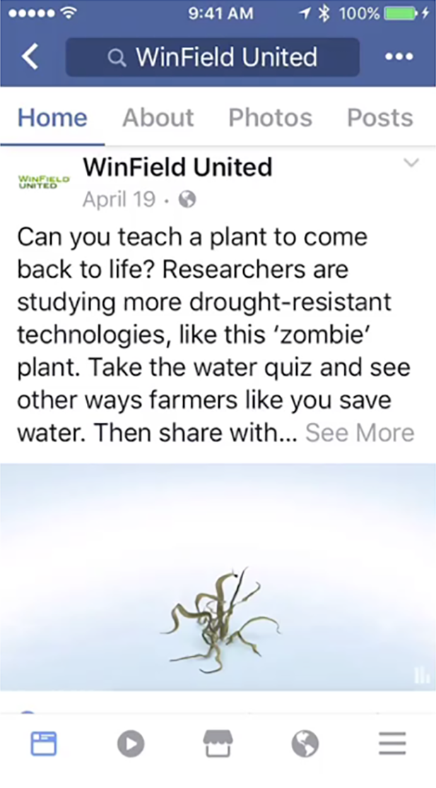 Facebook_Zombie.png