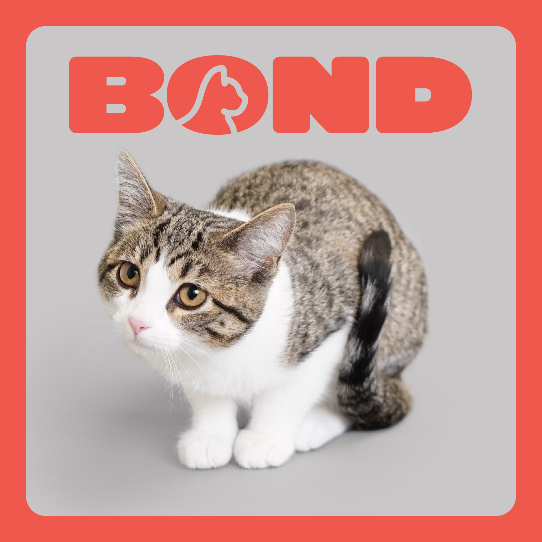 TBB_Social Examples-01.png