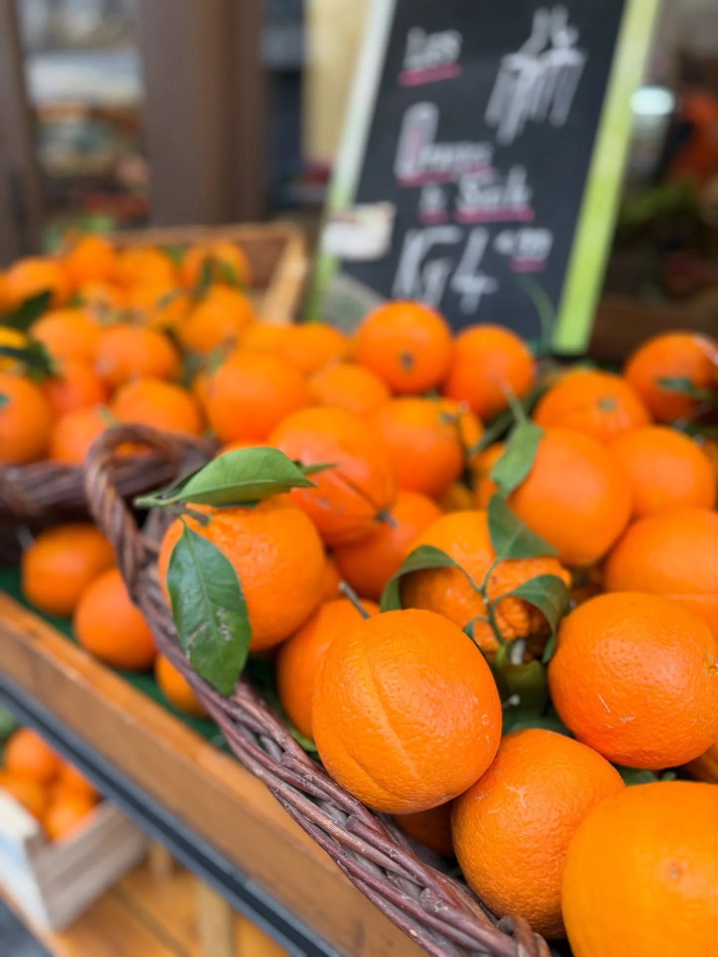 🍊fresh takes #TrishaLeighTravels