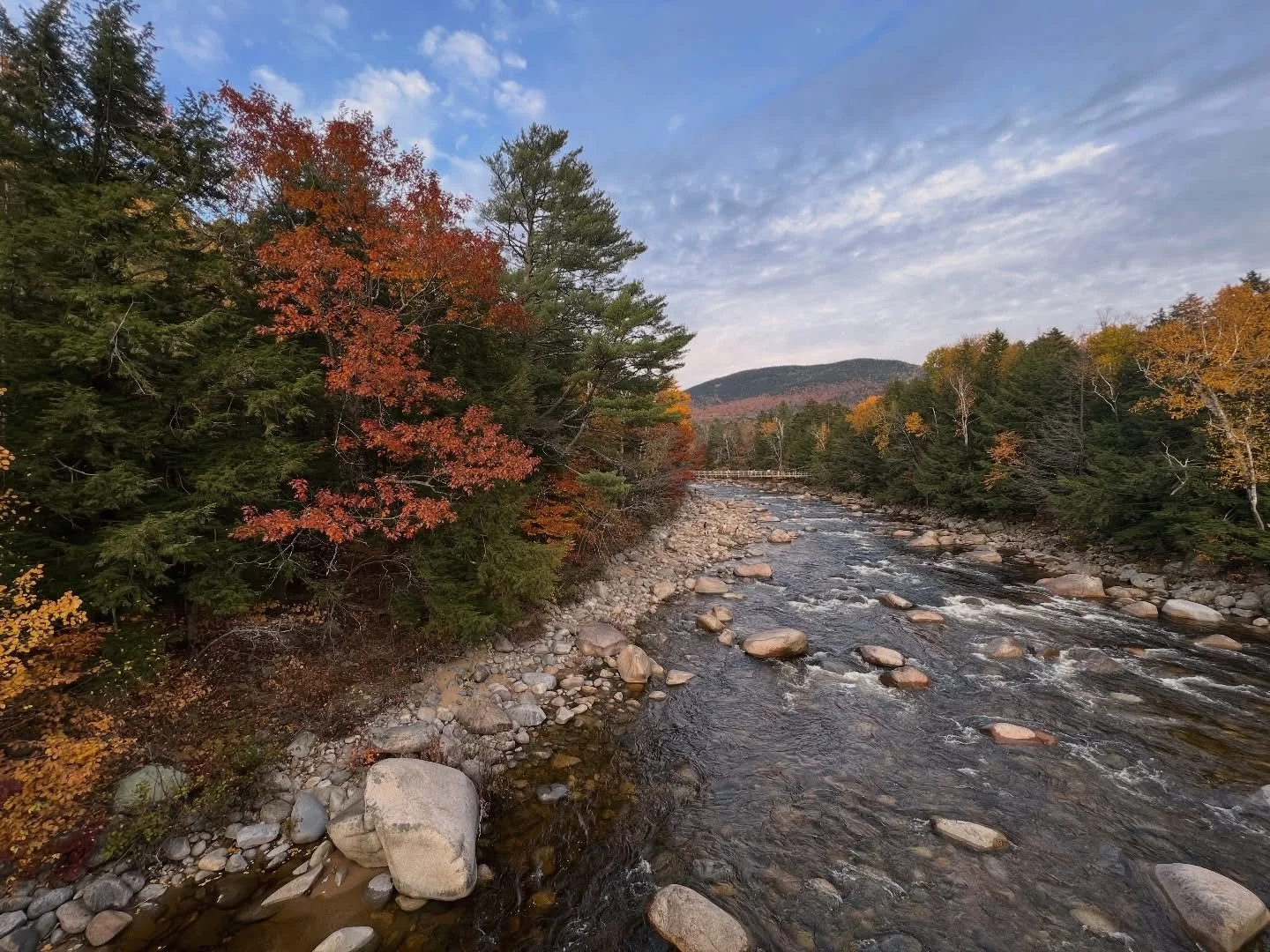 Nature&rsquo;s finest  #TrishaLeighTravels