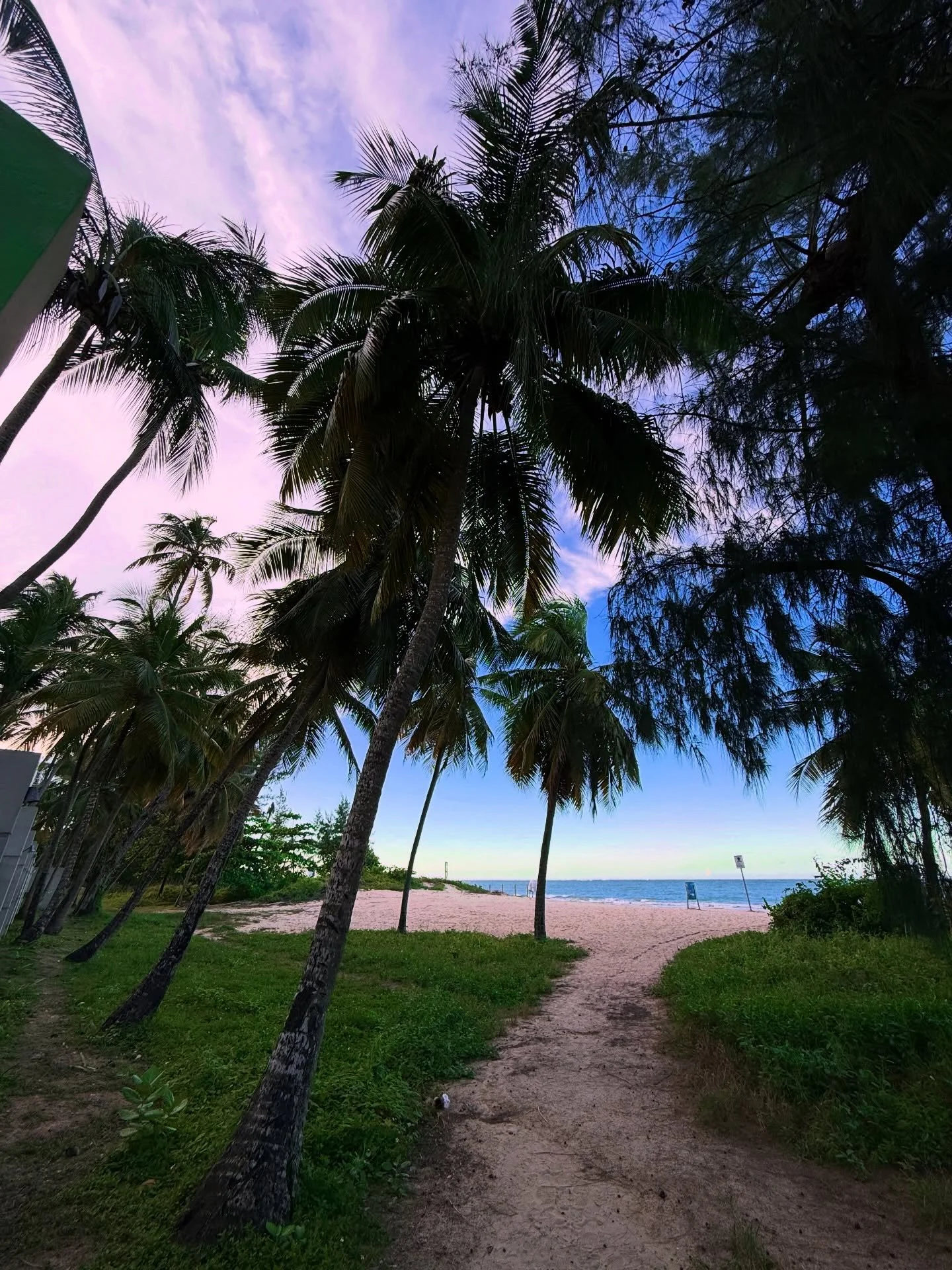 Leaning in.  #TrishaLeighTravels