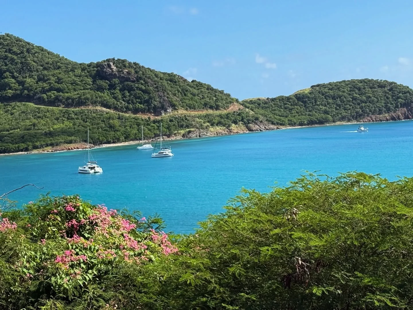 Vibrant view  #TrishaLeighTravels