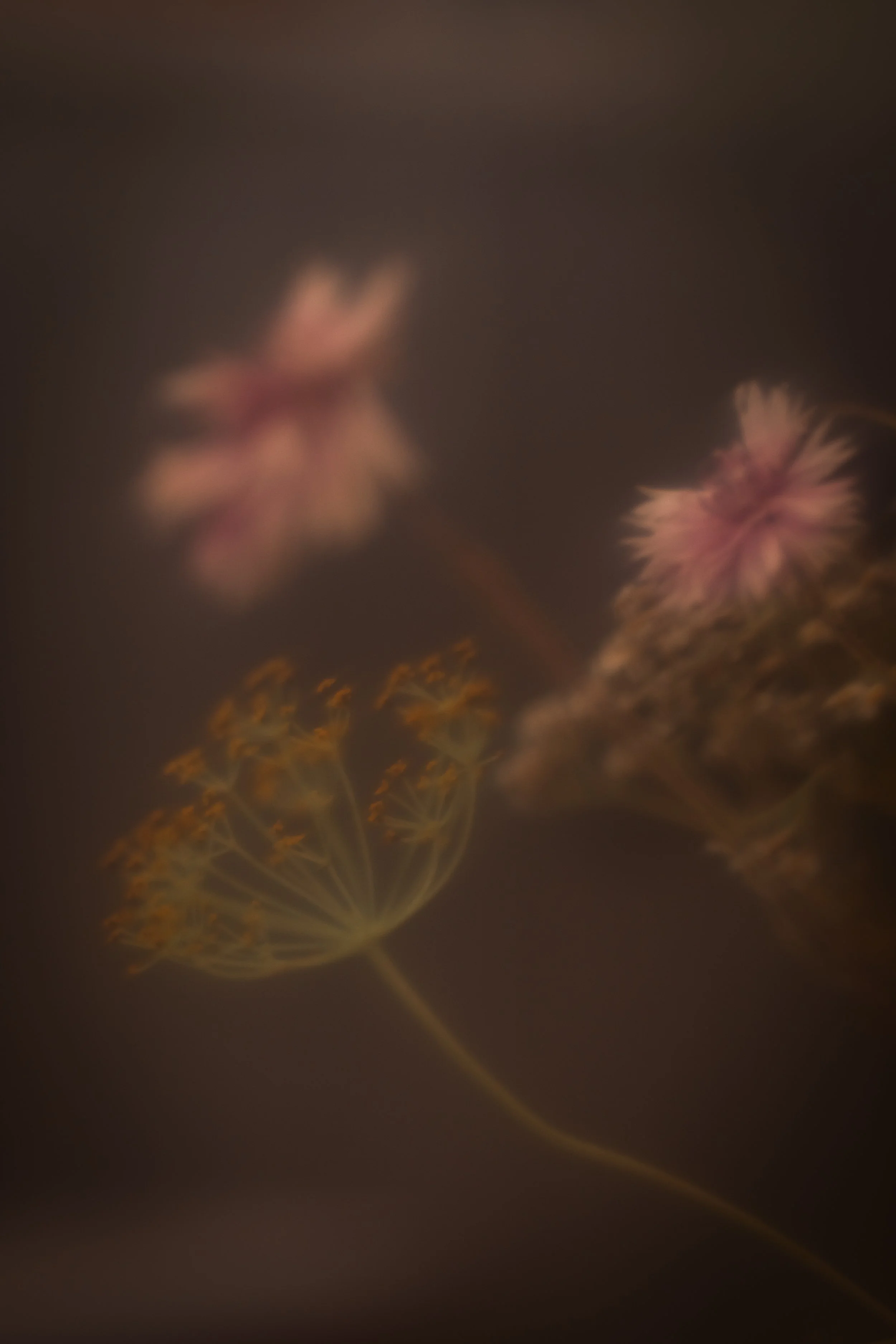 Let´s do 52/37: Haze