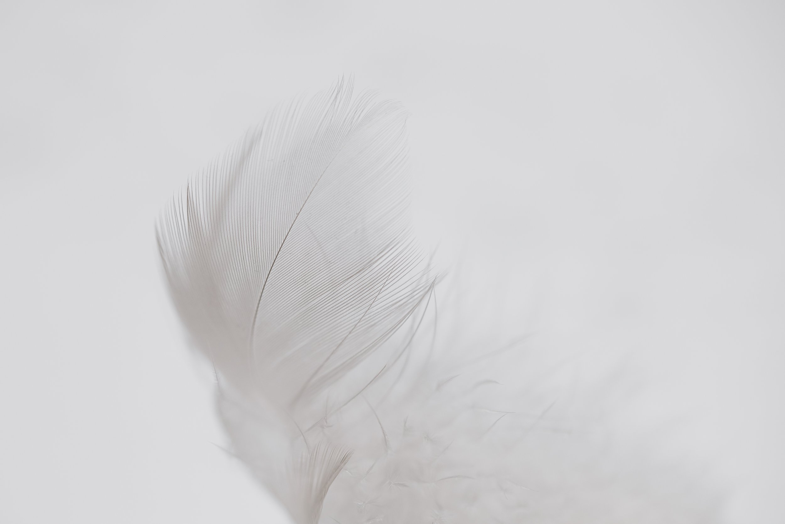 Let´s do 52/49: White