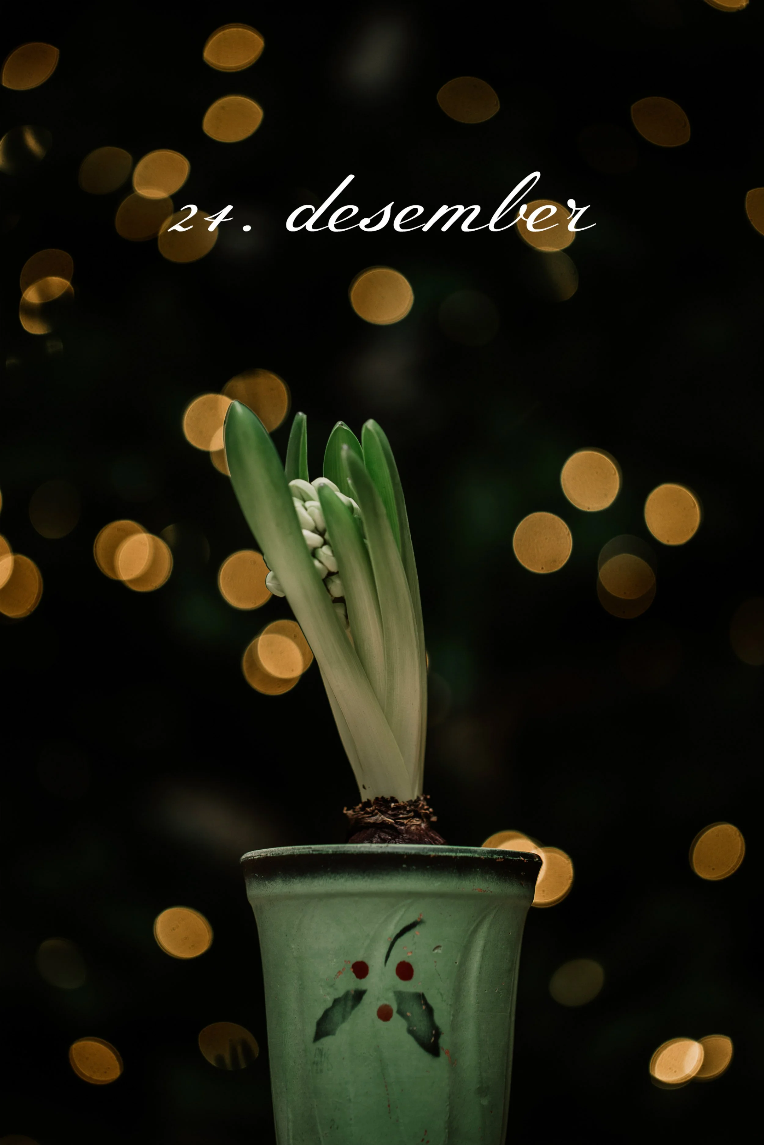 1-2900 med tekst.jpg