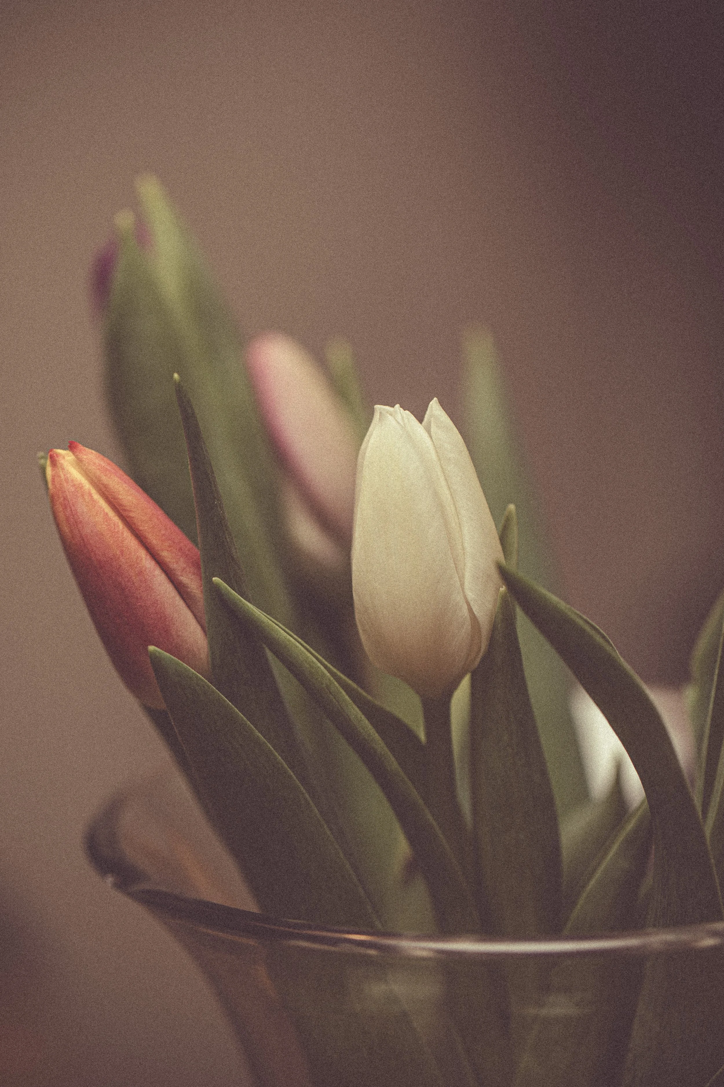 Let’s do 52/6: Details