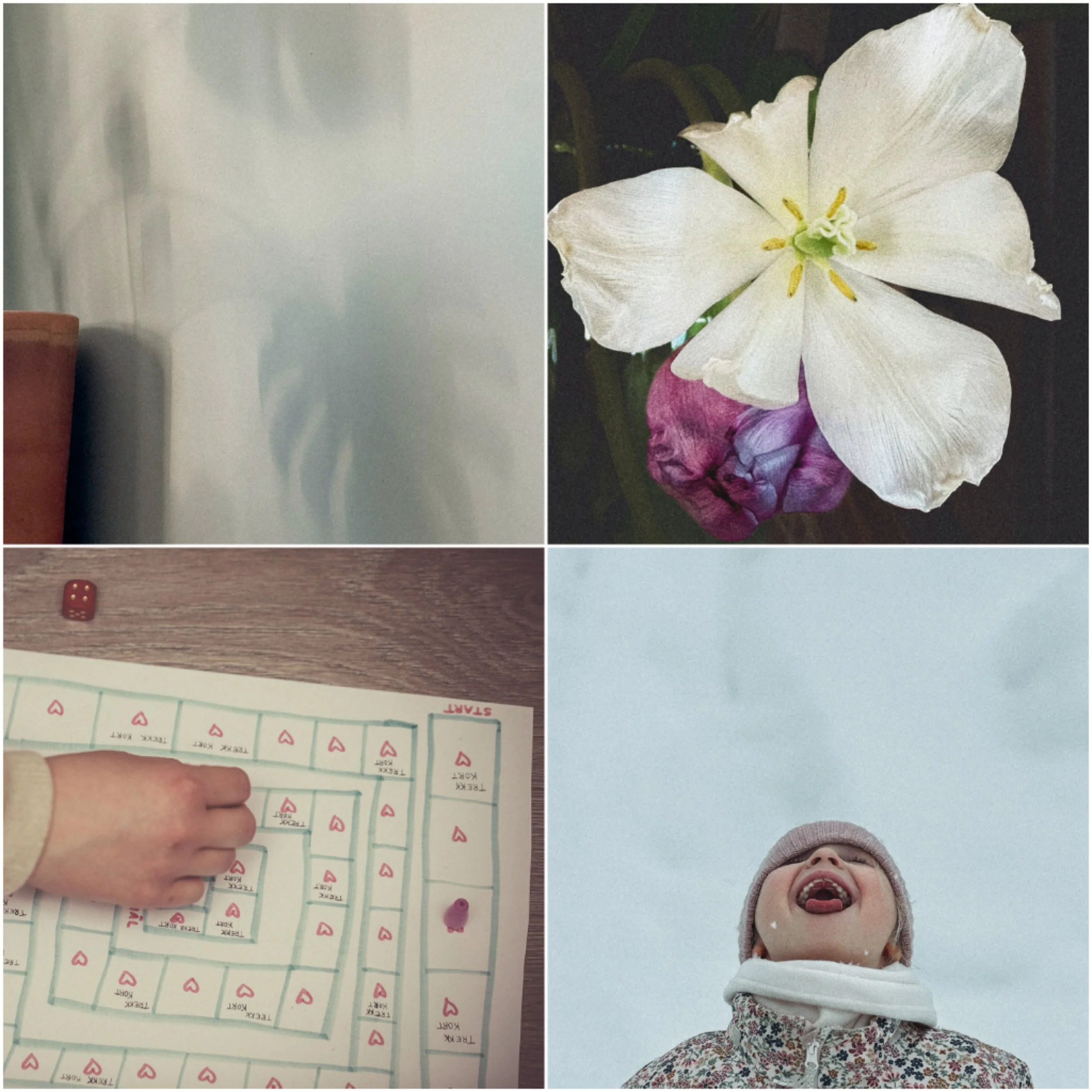 Instagram i februar: feiringer, kjærlighet og vårstemning. Og et beinhardt farvel