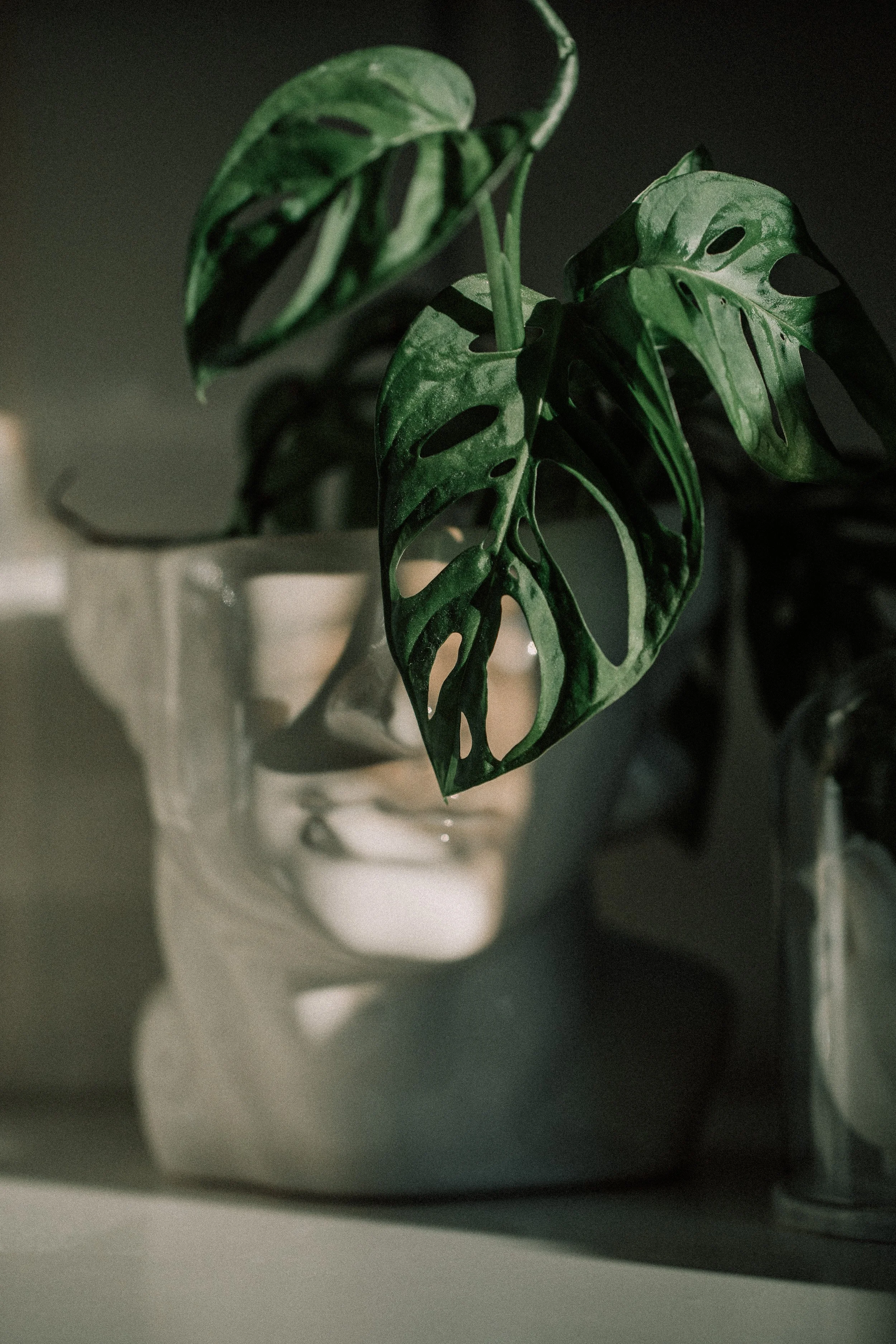 Let’s do 52/11: Green