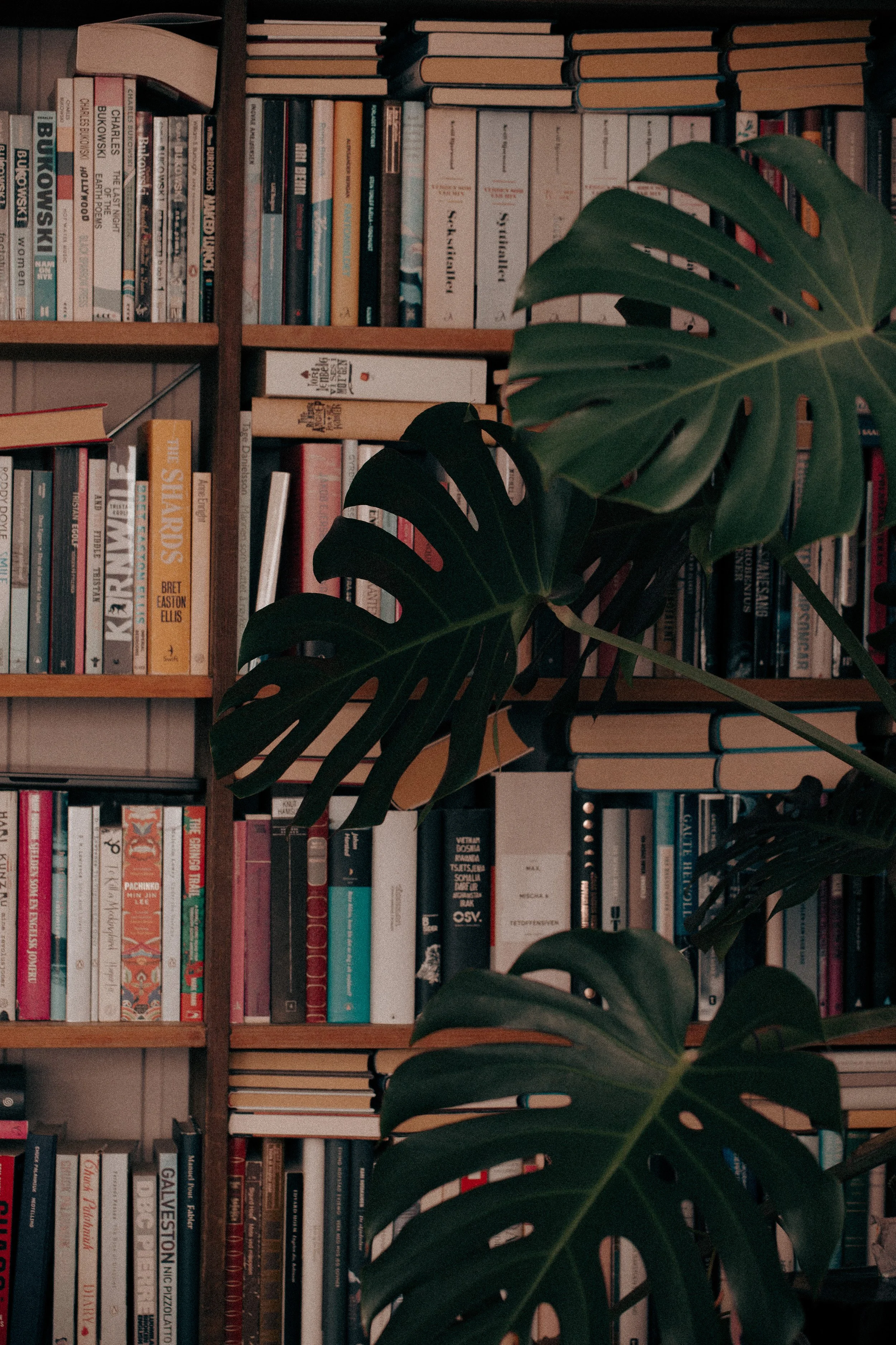 Let’s do 52/14: Inspiration