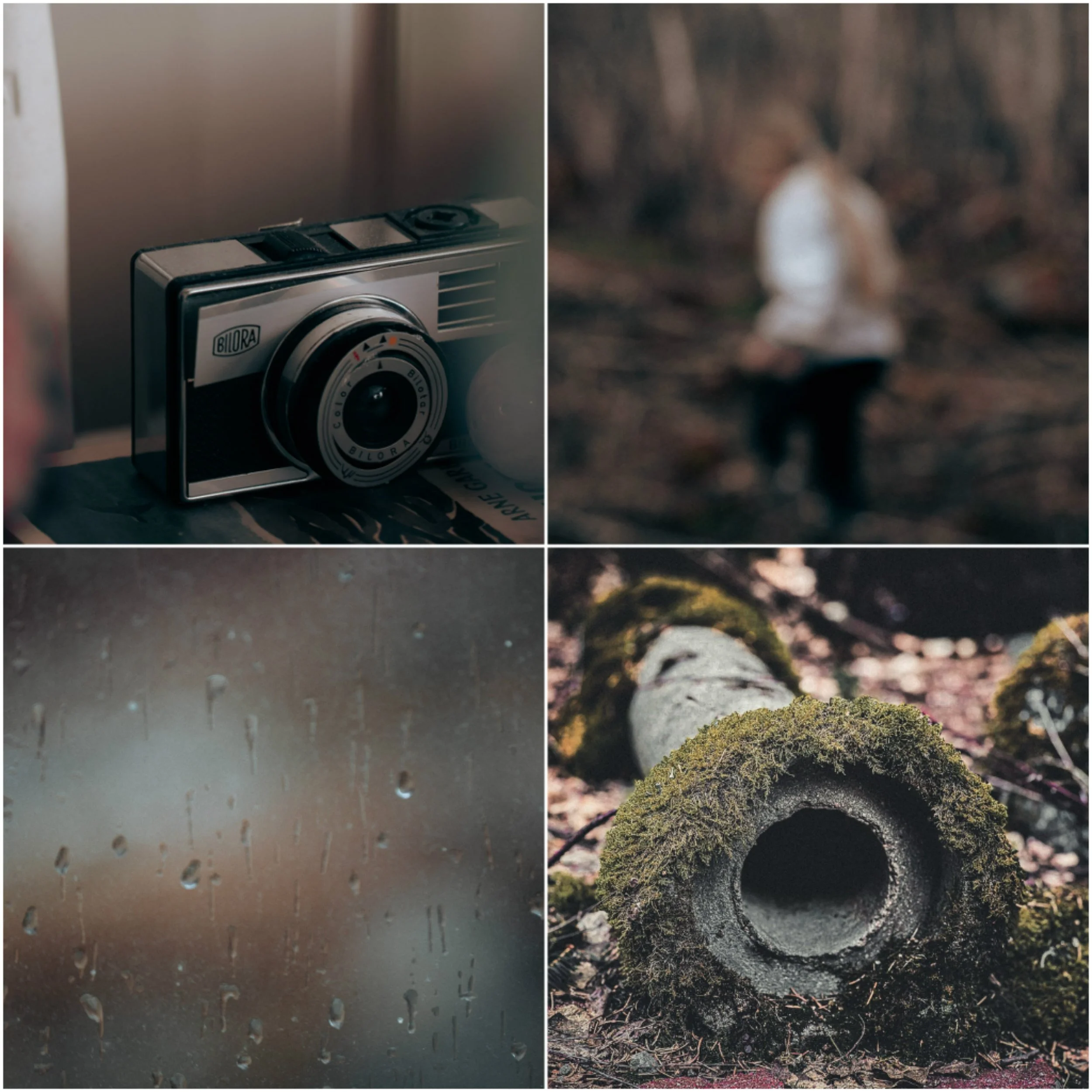 Instagram i april: fra tepper av snø til bugnende hvitveistepper