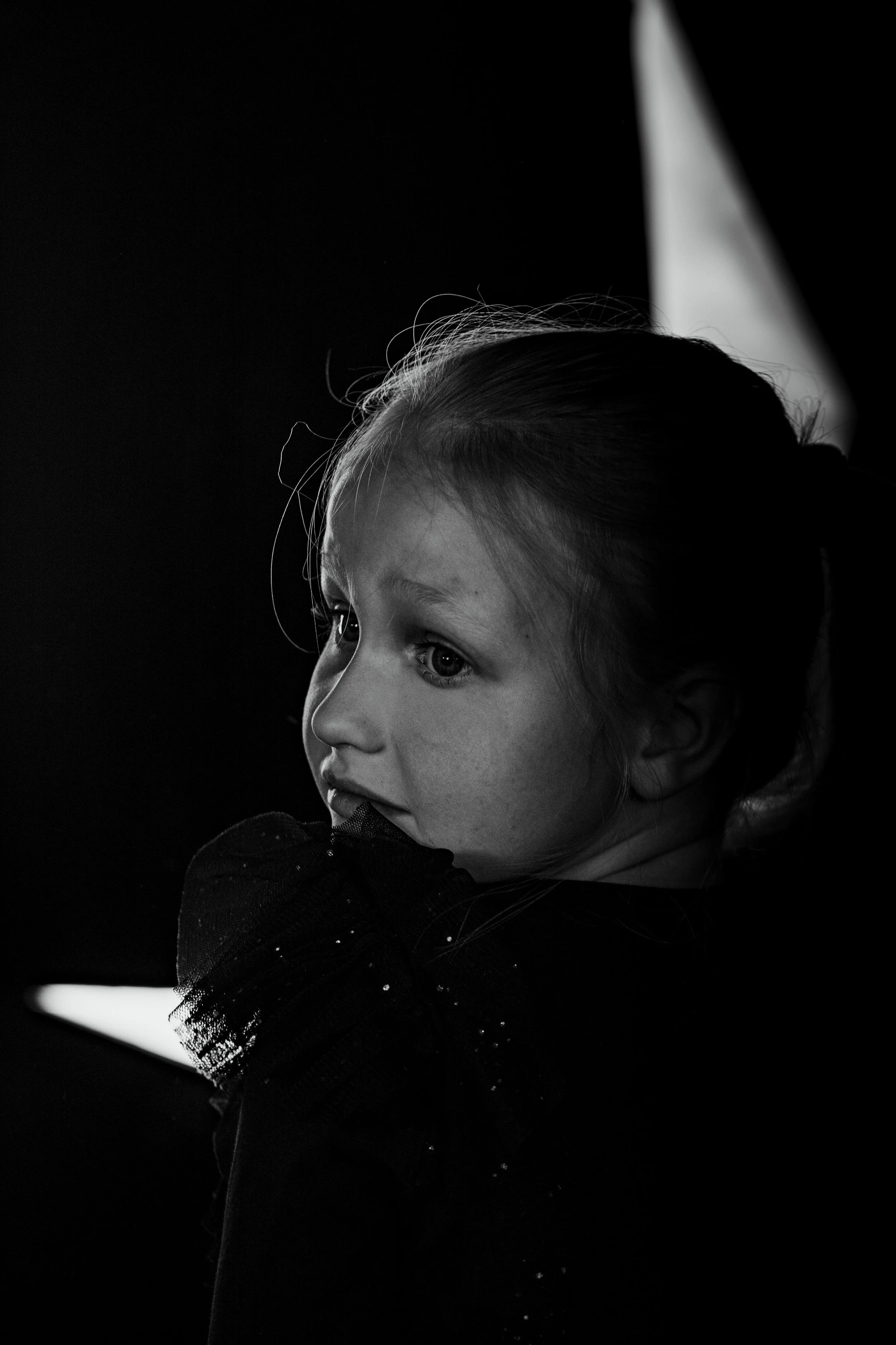 Let’s do 52/20: Silhouette