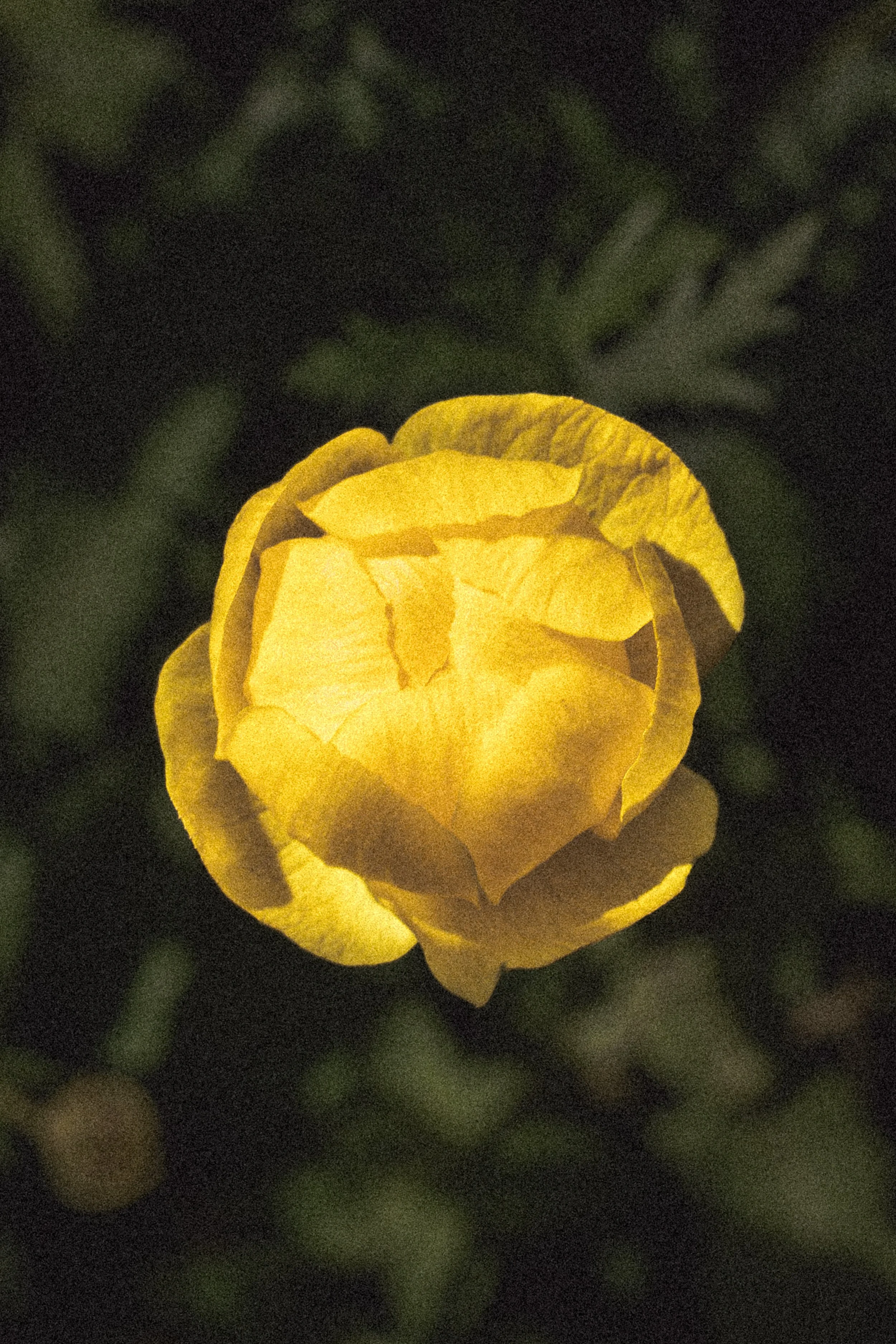 8-7416.jpg