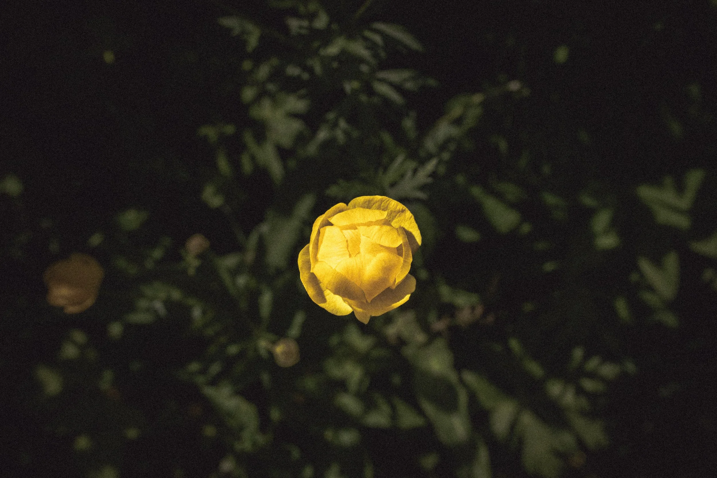 9-7416.jpg