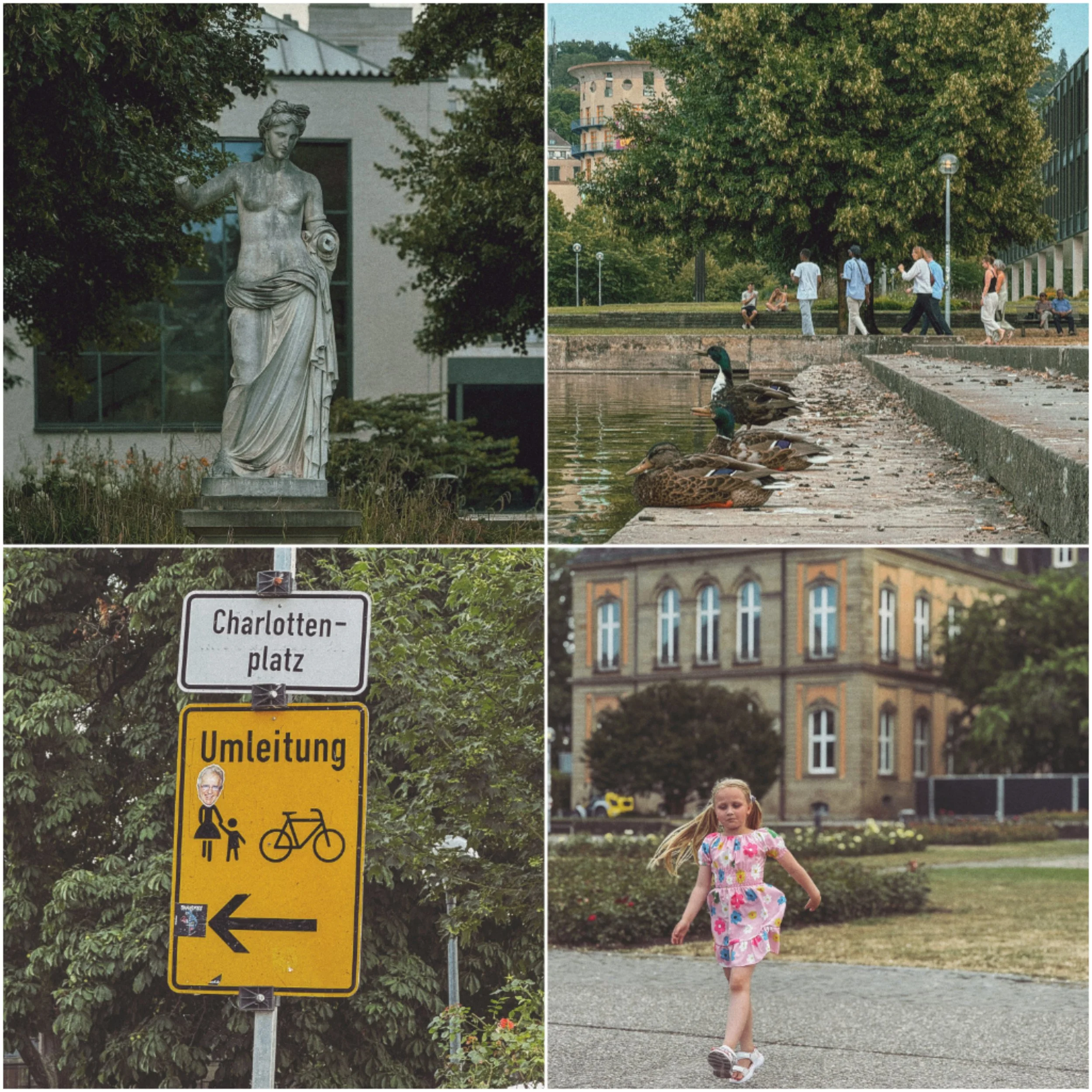 65.jpg