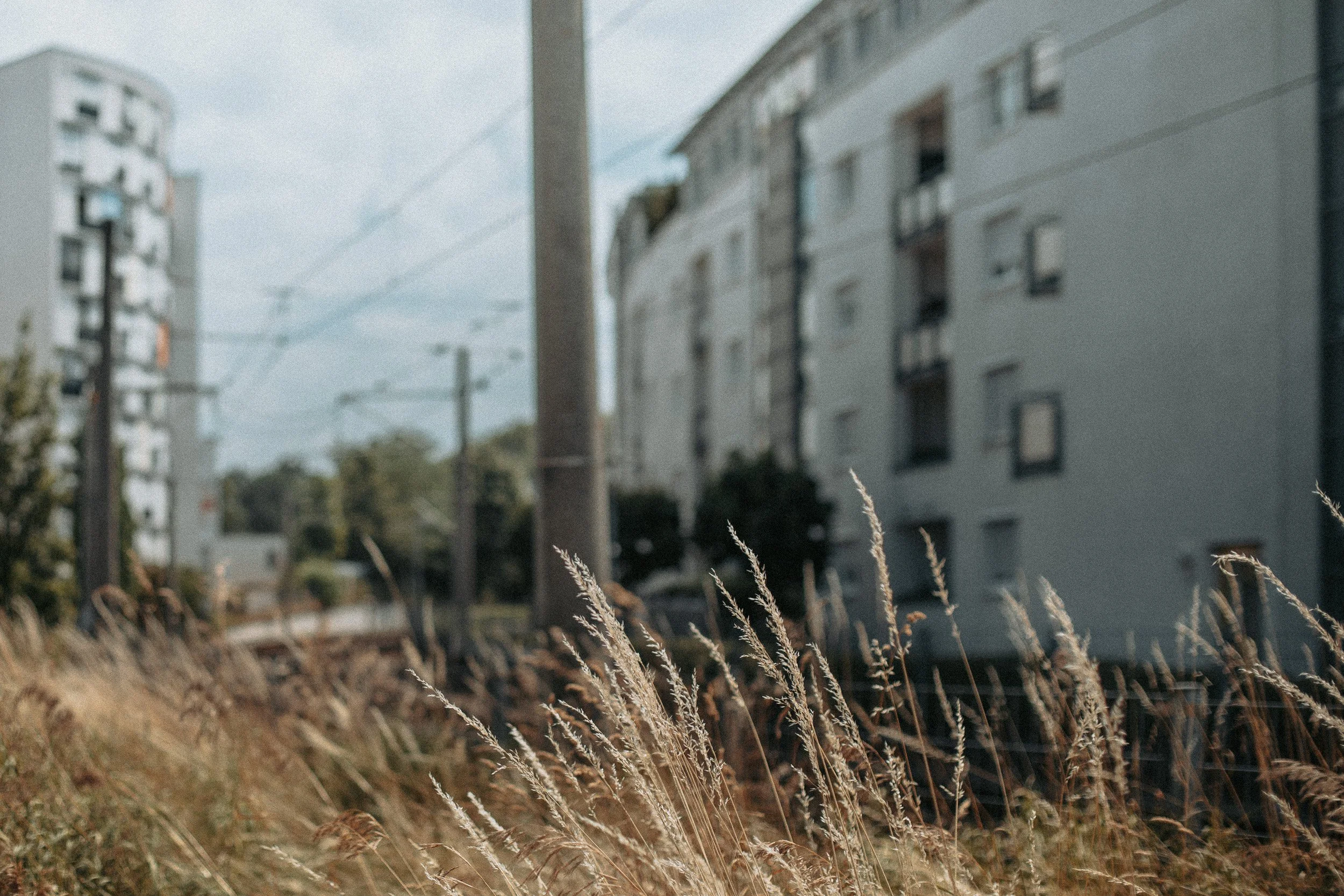 6-7722.jpg
