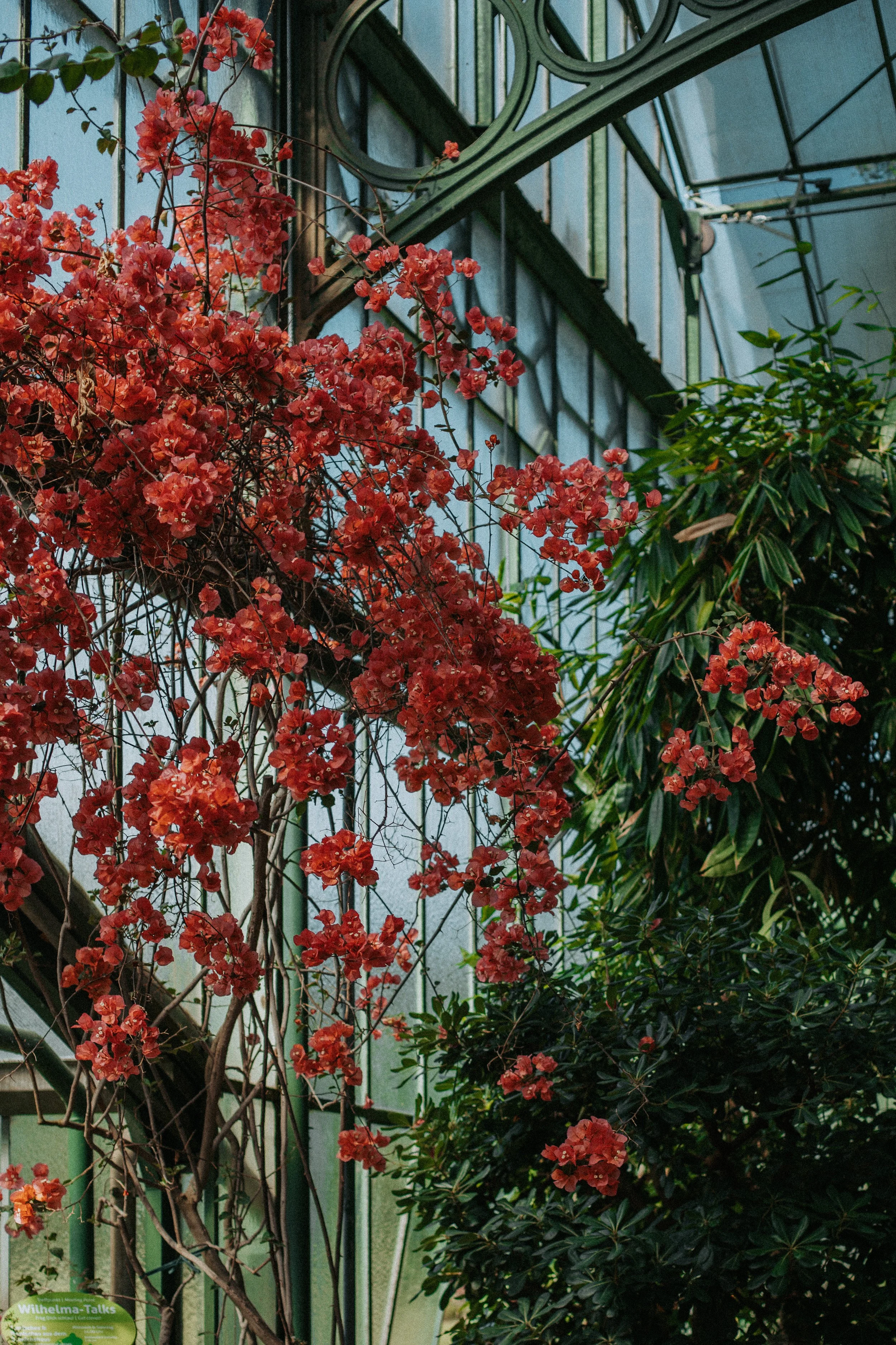 67-8092.jpg